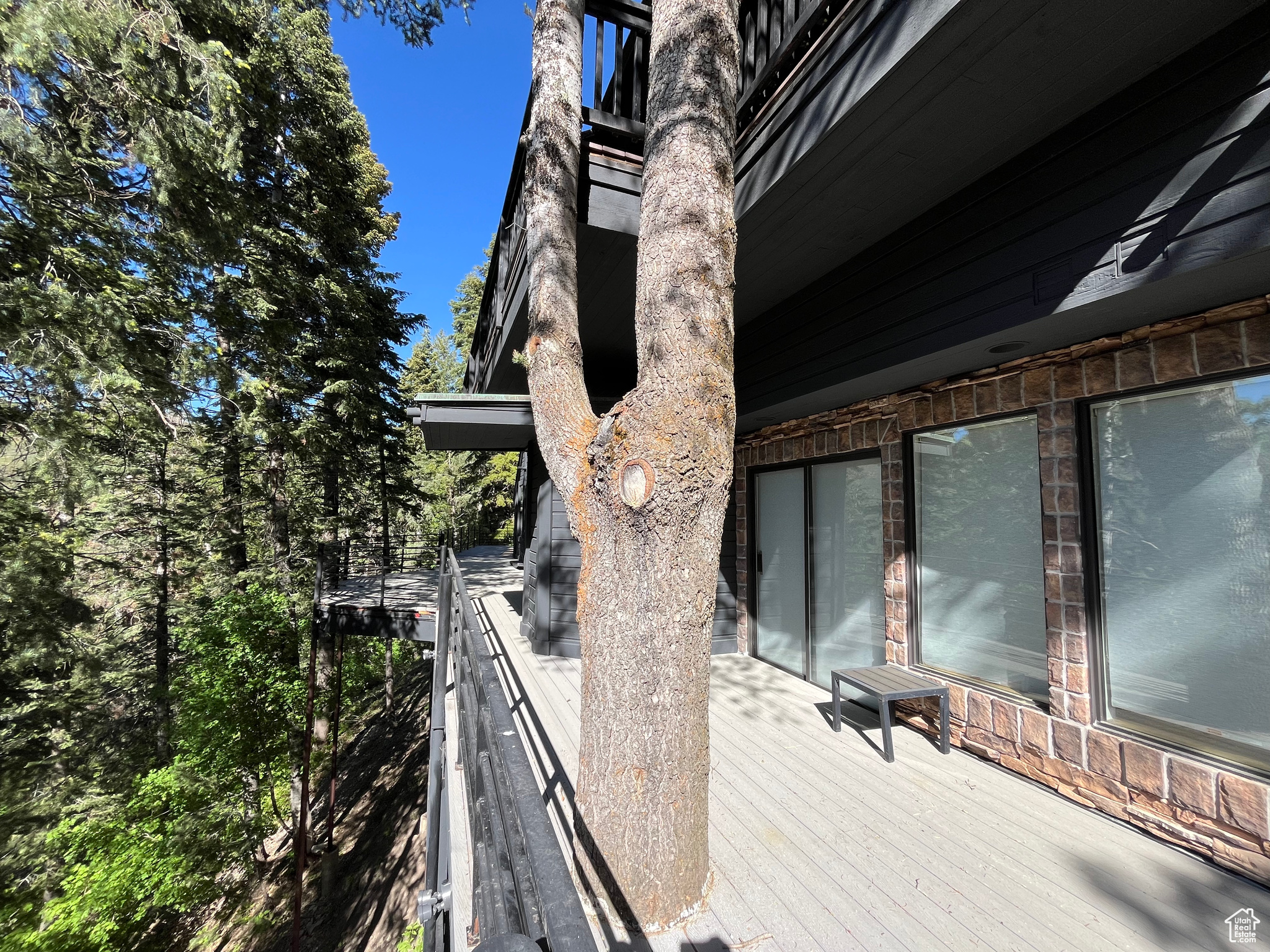 3009 E BLACK FOREST, Sundance, Utah 84604, 5 Bedrooms Bedrooms, 22 Rooms Rooms,3 BathroomsBathrooms,Residential,For sale,BLACK FOREST,2001977