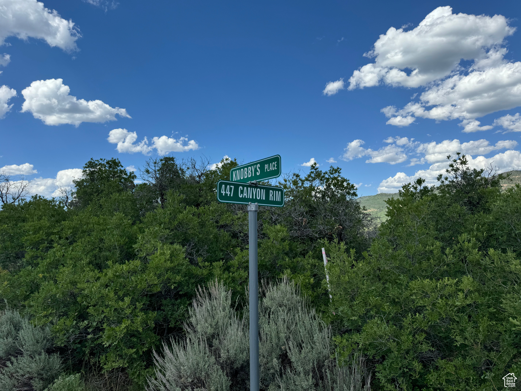 Street Signs for driving instructions