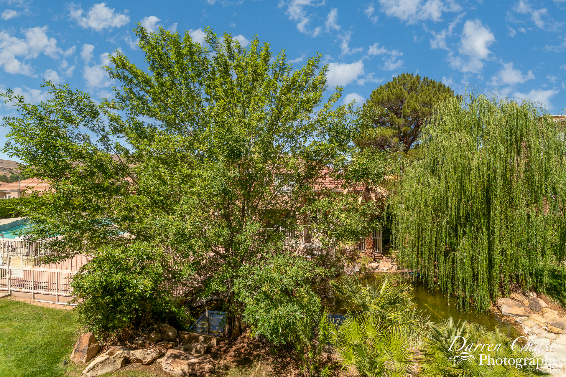 View from patio off the dining room