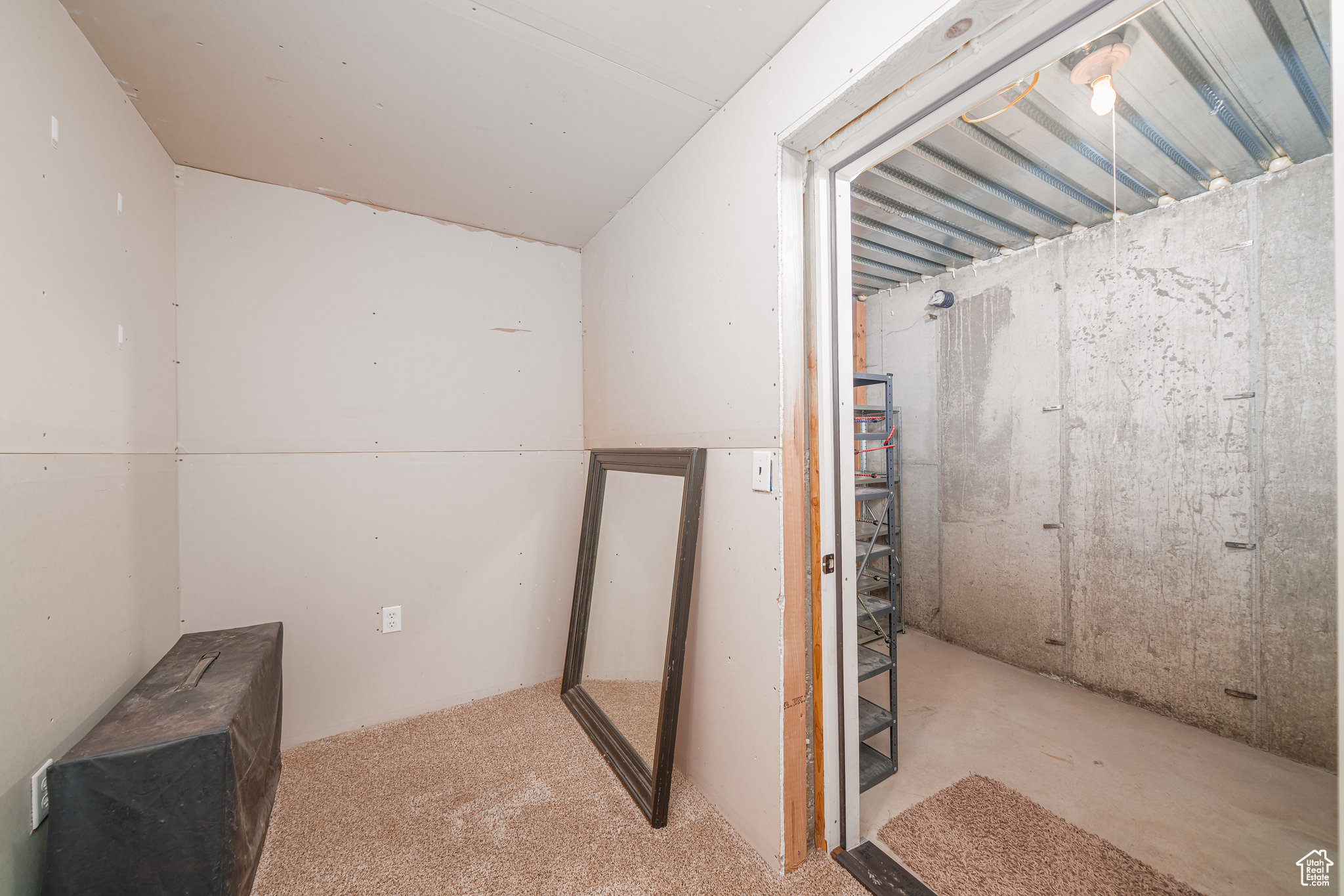 Basement storage area featuring light carpet