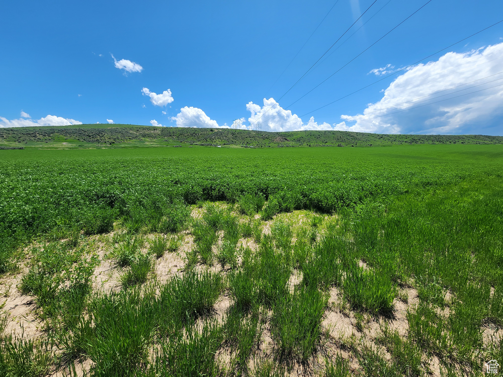 6600 N HWY 34 E #4, Preston, Idaho 83263, ,Land,For sale,HWY 34,2002299