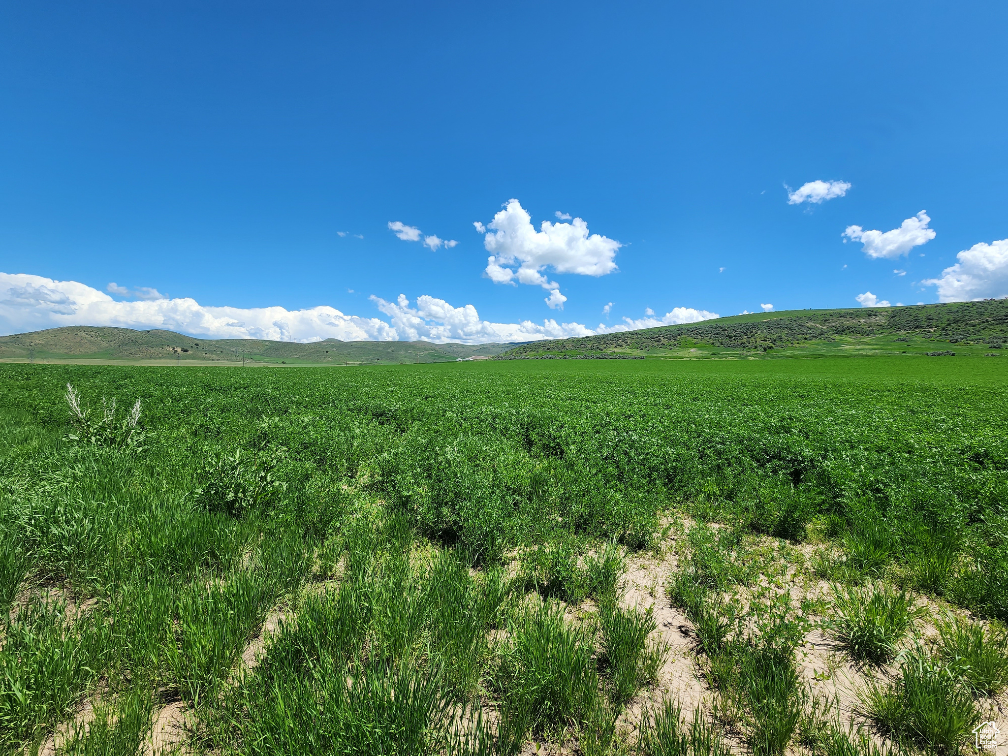 6600 N HWY 34 E #4, Preston, Idaho 83263, ,Land,For sale,HWY 34,2002299