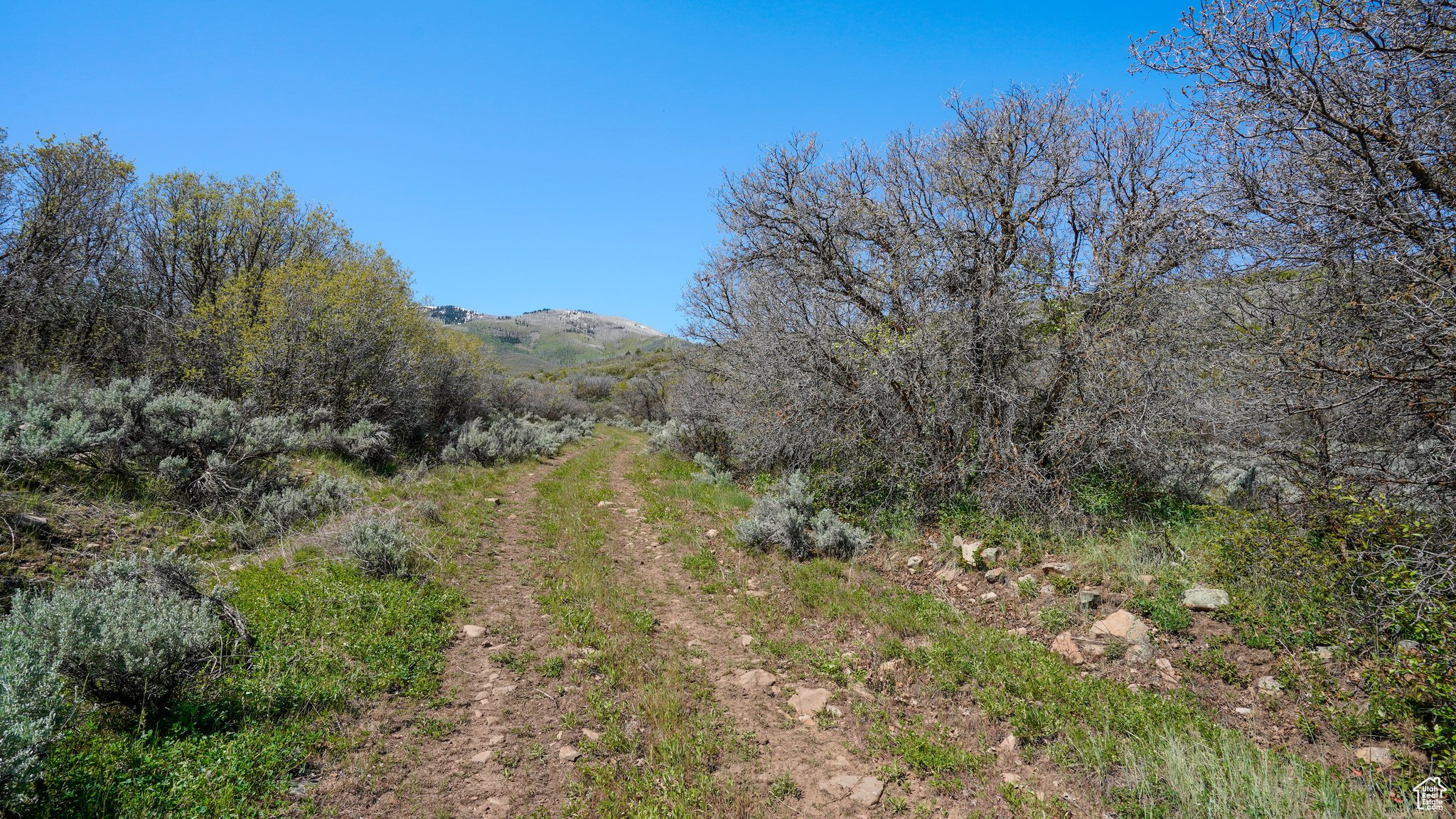 1 ON SMOOTH HOLLOW, Wallsburg, Utah 84082, ,Land,For sale,ON SMOOTH HOLLOW,2002389