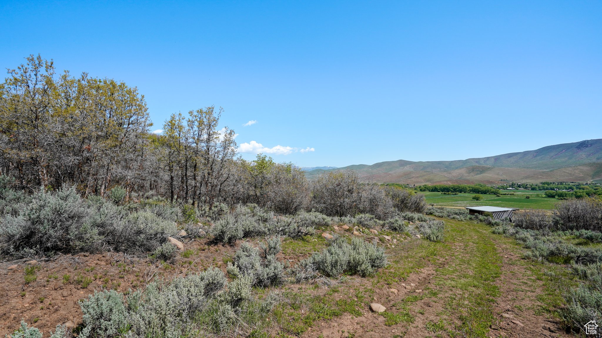 1 ON SMOOTH HOLLOW, Wallsburg, Utah 84082, ,Land,For sale,ON SMOOTH HOLLOW,2002389