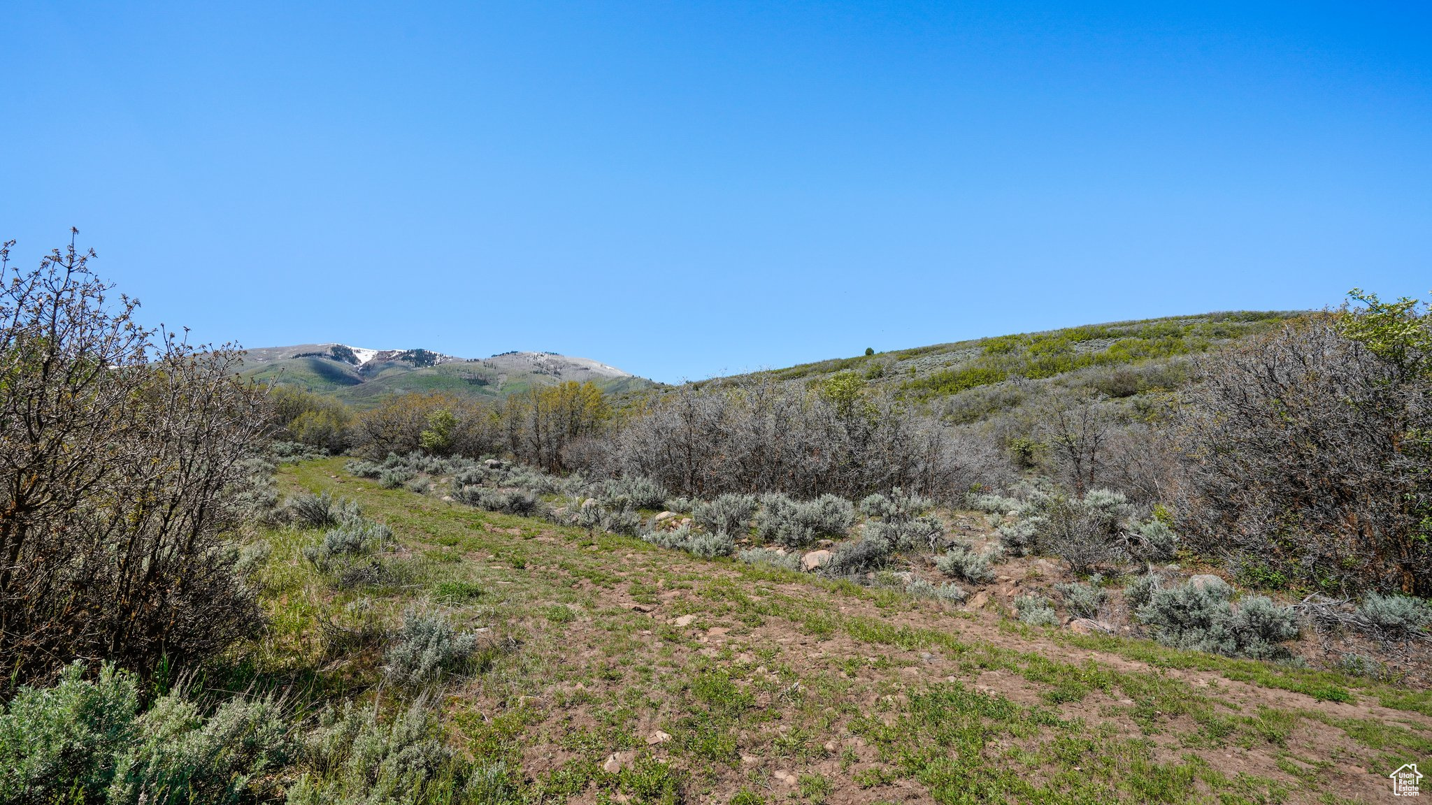 1 ON SMOOTH HOLLOW, Wallsburg, Utah 84082, ,Land,For sale,ON SMOOTH HOLLOW,2002389