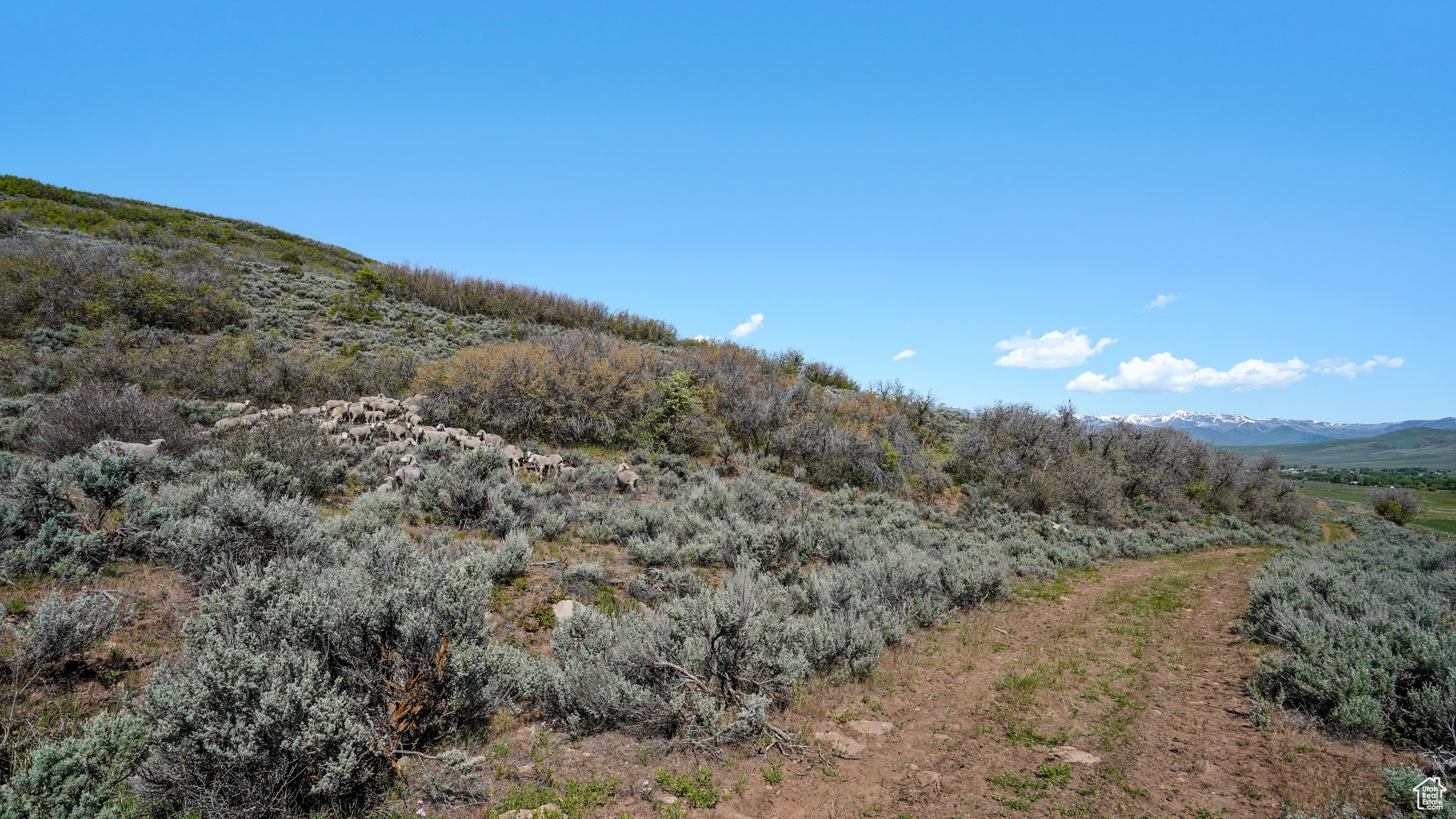 1 ON SMOOTH HOLLOW, Wallsburg, Utah 84082, ,Land,For sale,ON SMOOTH HOLLOW,2002389