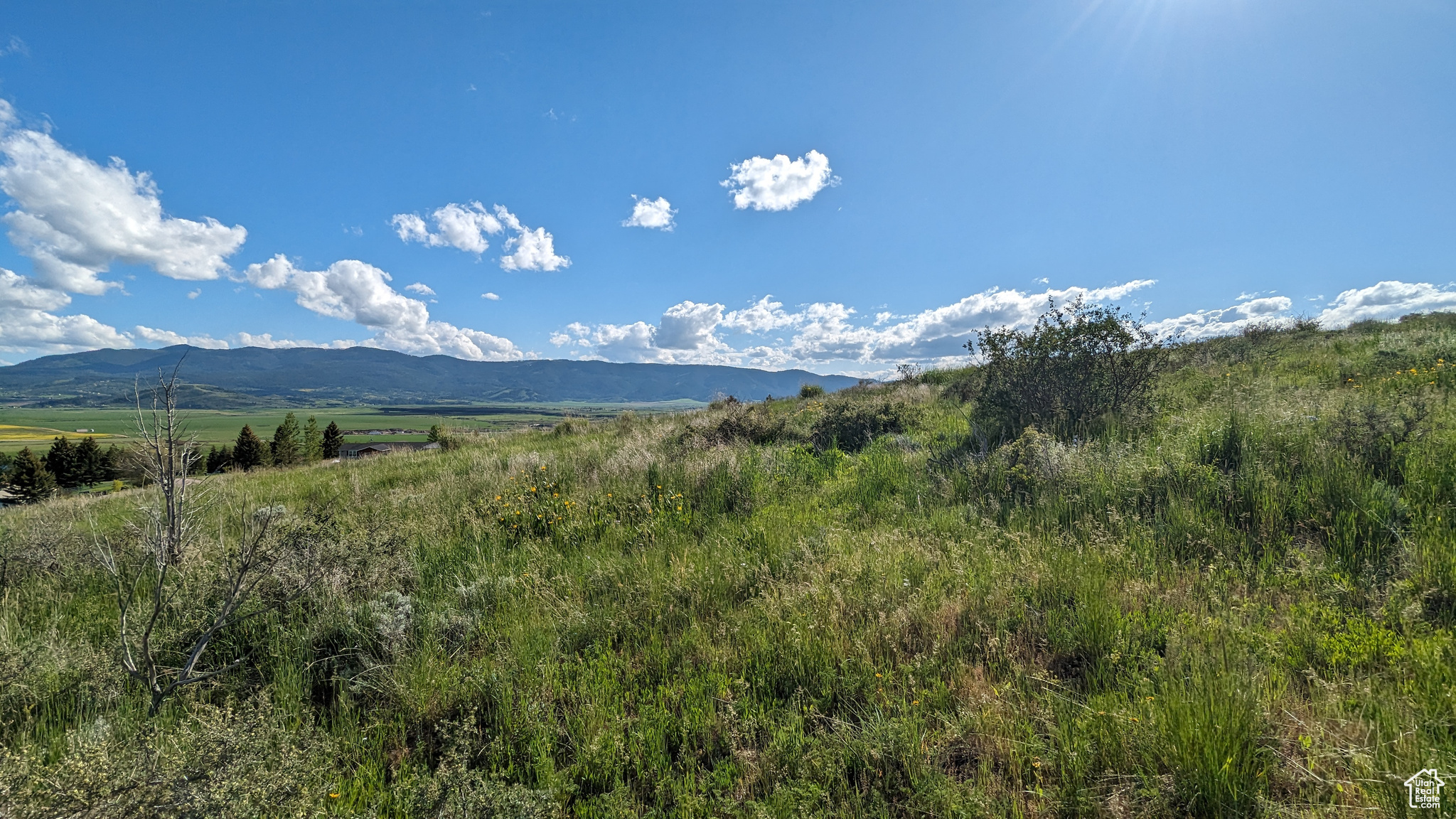 1651 HILLTOP #13, Soda Springs, Idaho 83276, ,Land,For sale,HILLTOP,2002433