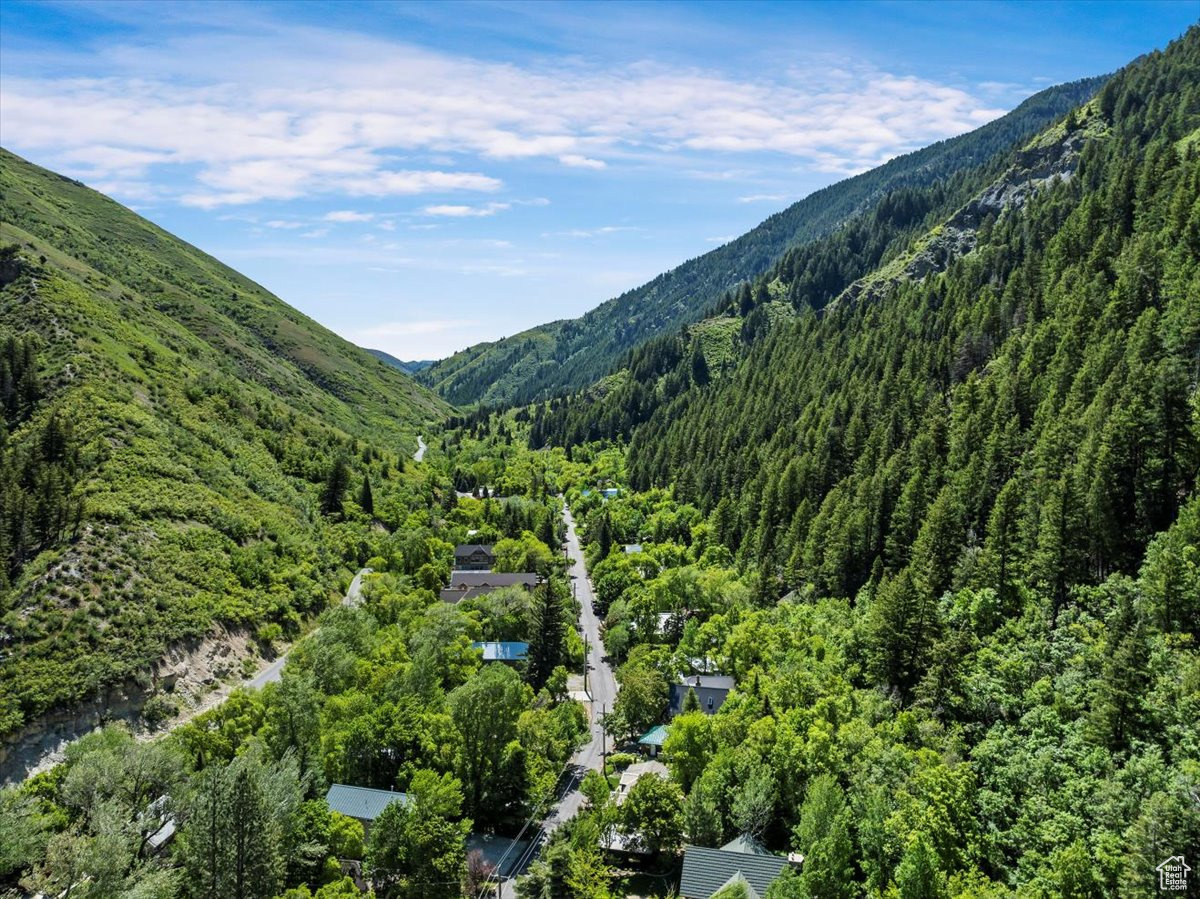 Aerial view of historic Vivian Park Community.