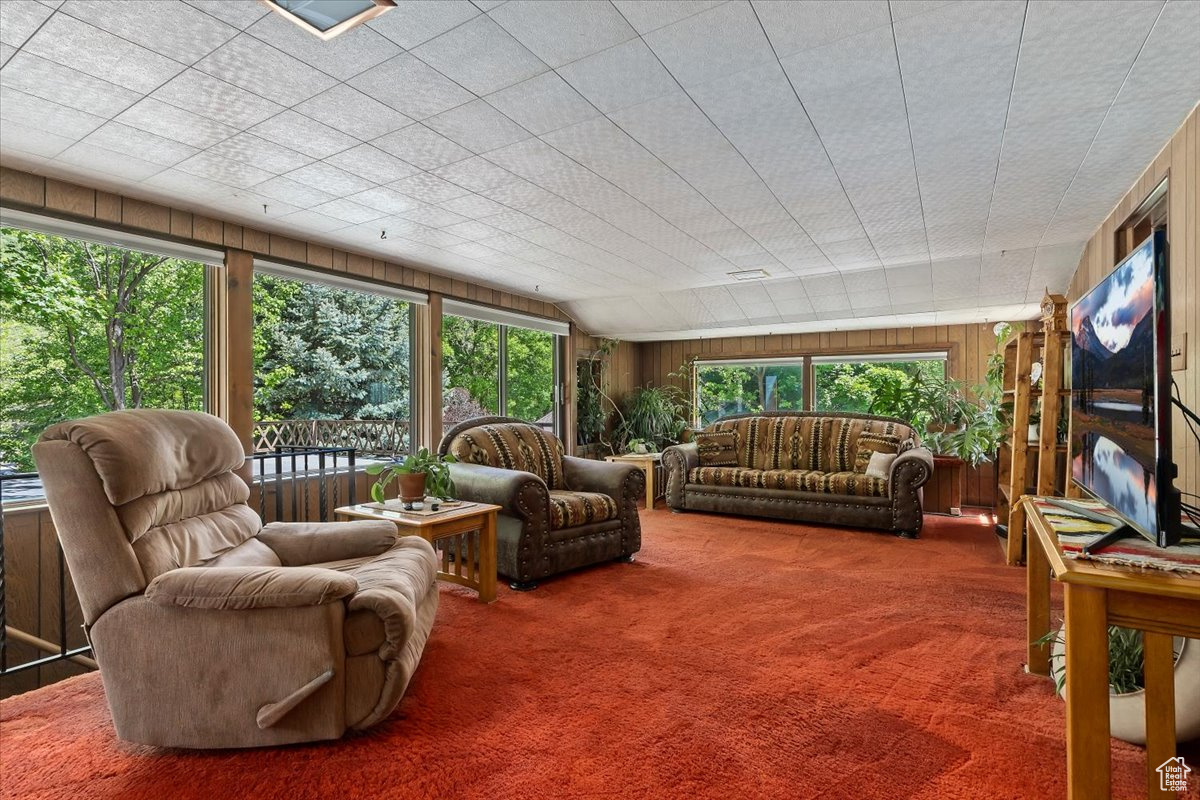 Carpeted living room featuring large widows. Hardwood floor under carpet.