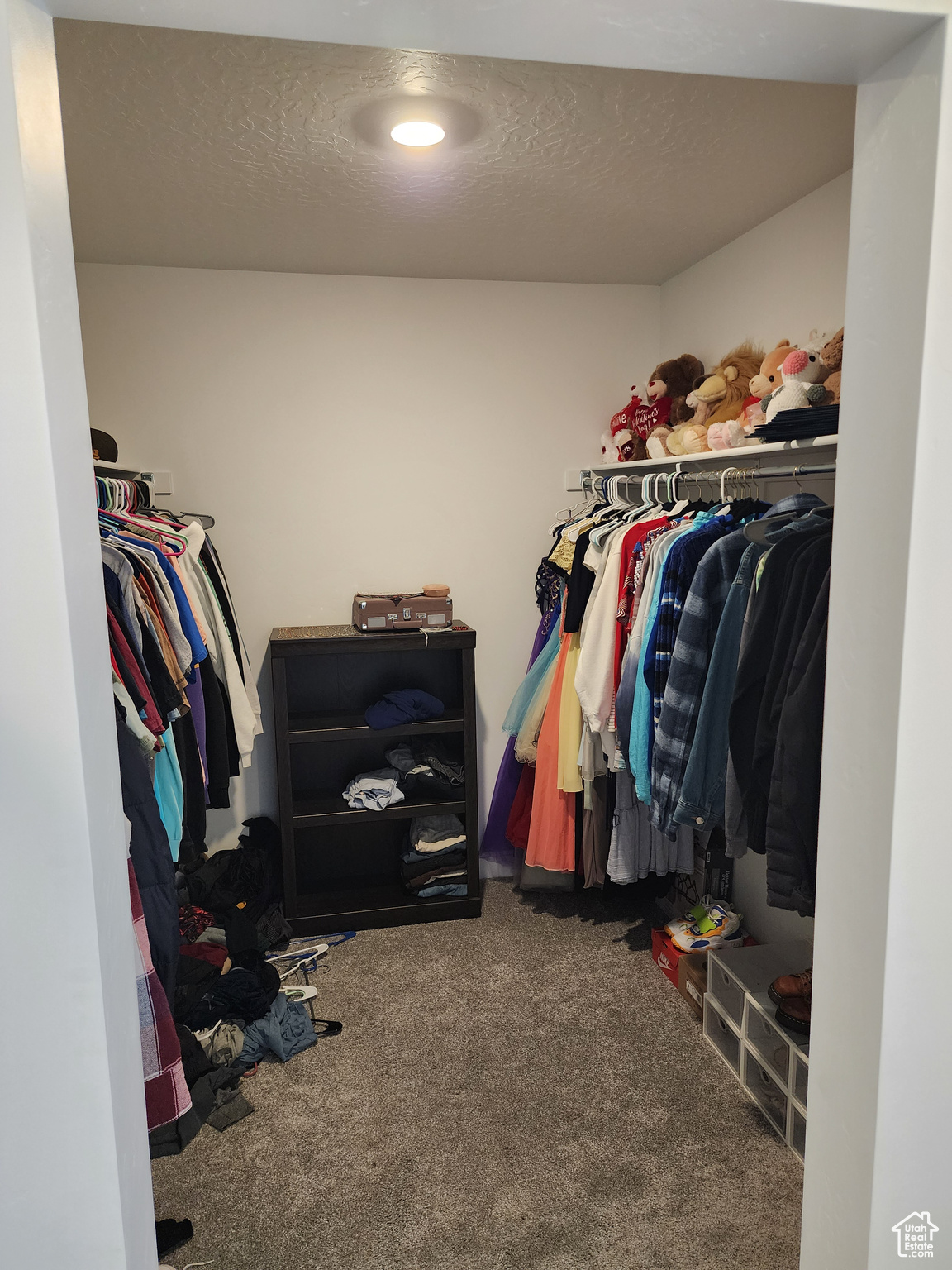 Spacious closet with carpet flooring