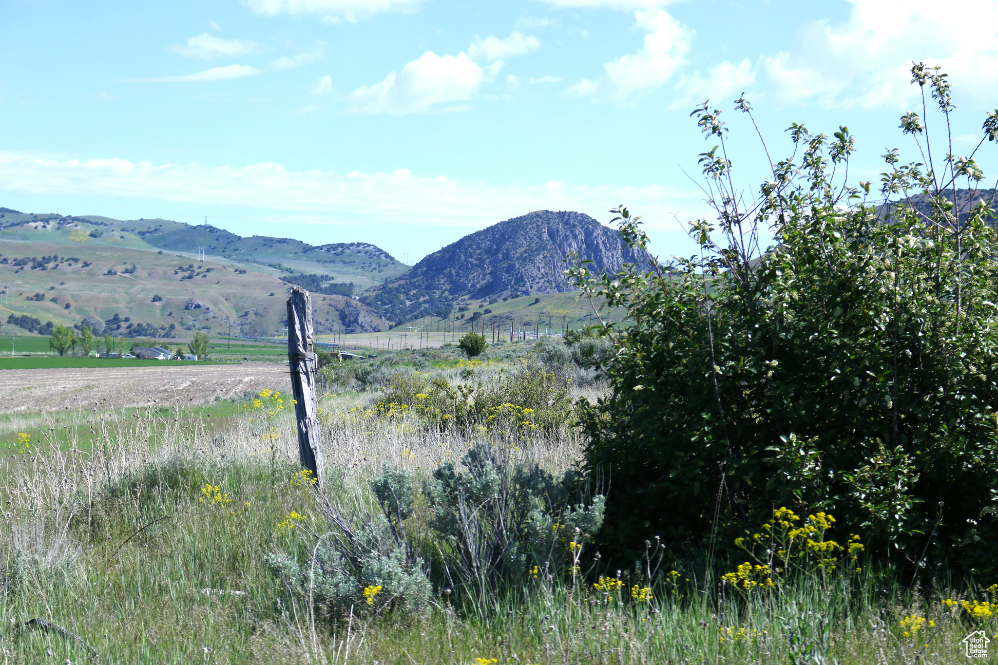 Collinston, Utah 84306, ,Land,For sale,2002455