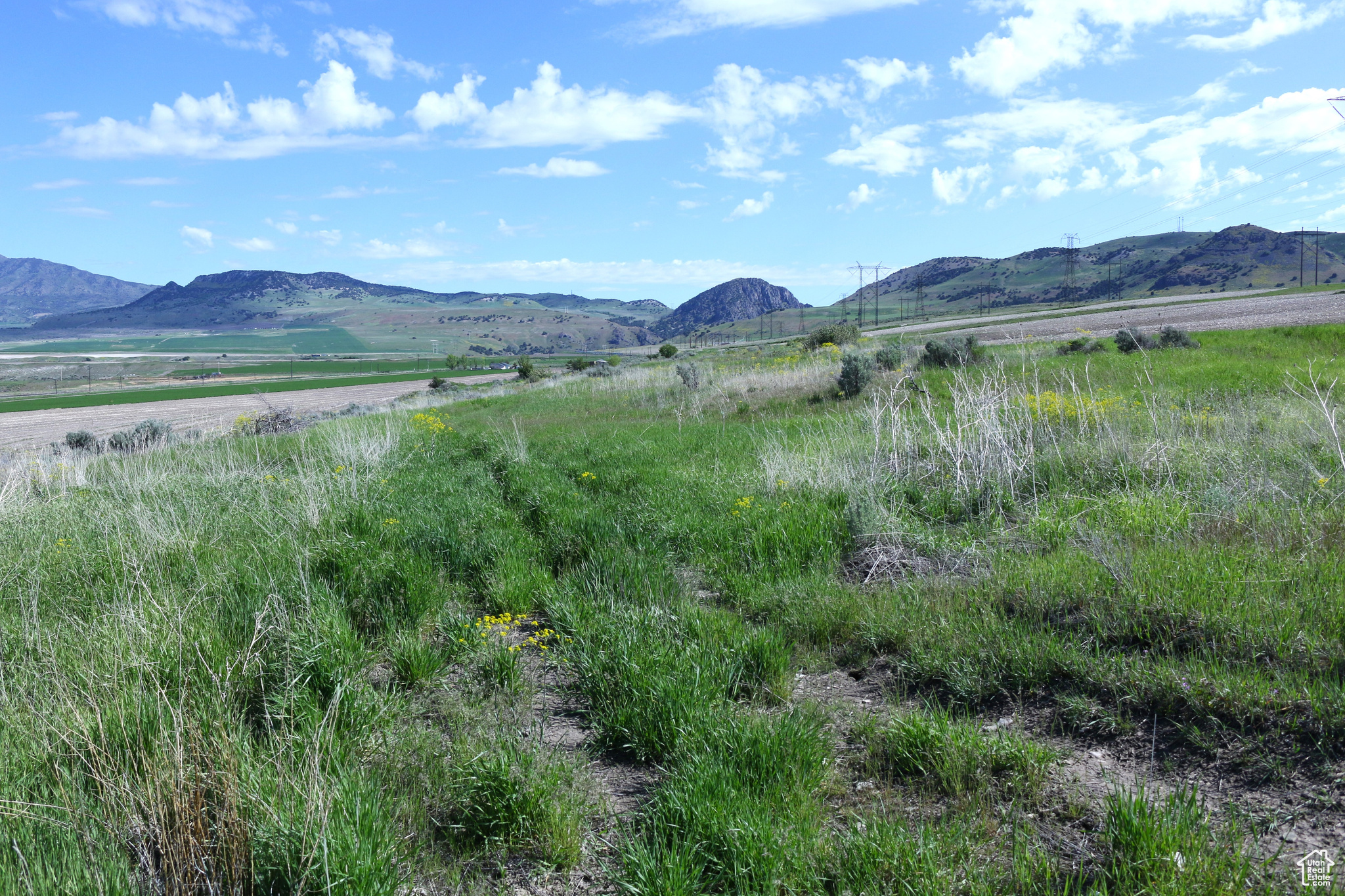 Collinston, Utah 84306, ,Land,For sale,2002455