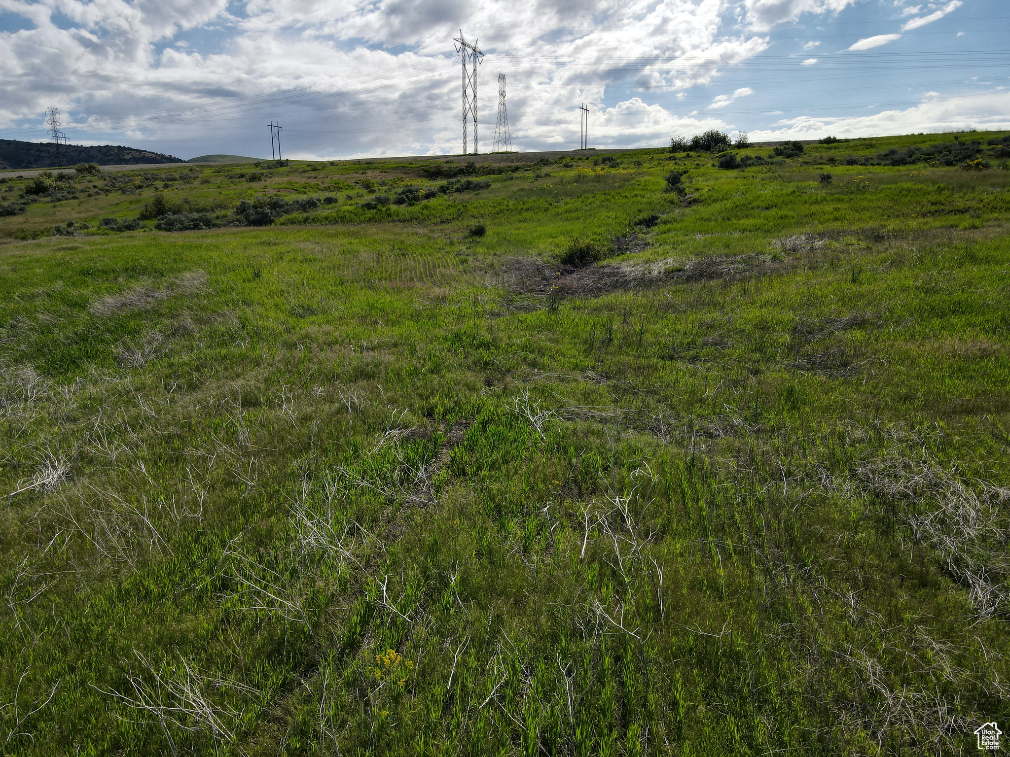 Collinston, Utah 84306, ,Land,For sale,2002455