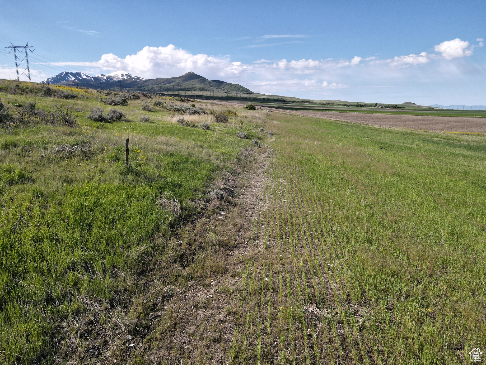 Collinston, Utah 84306, ,Land,For sale,2002455