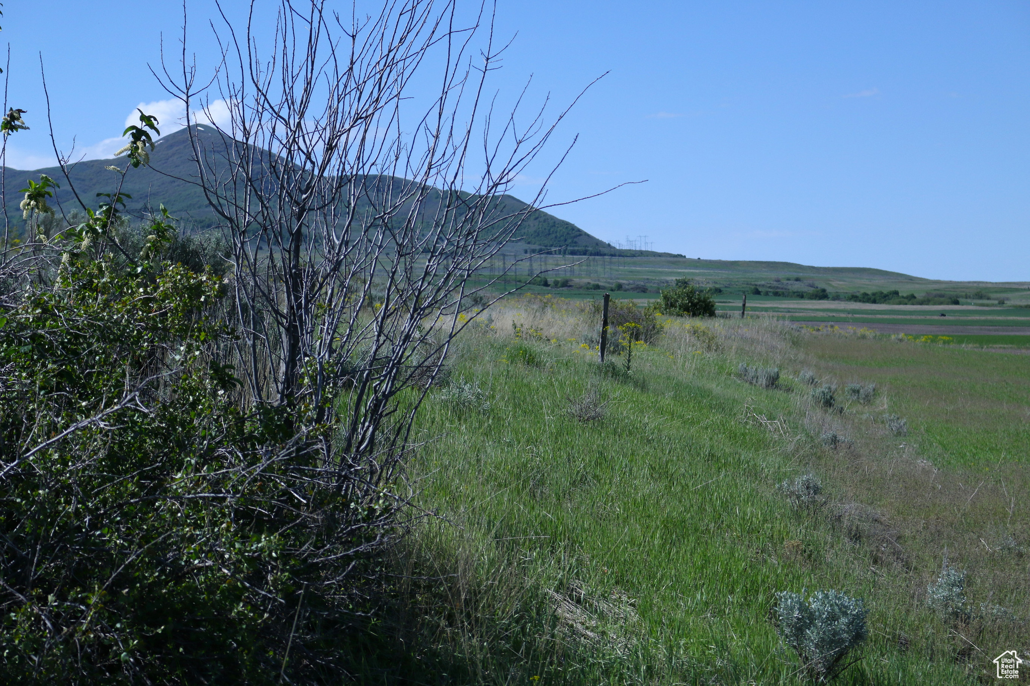 Collinston, Utah 84306, ,Land,For sale,2002455