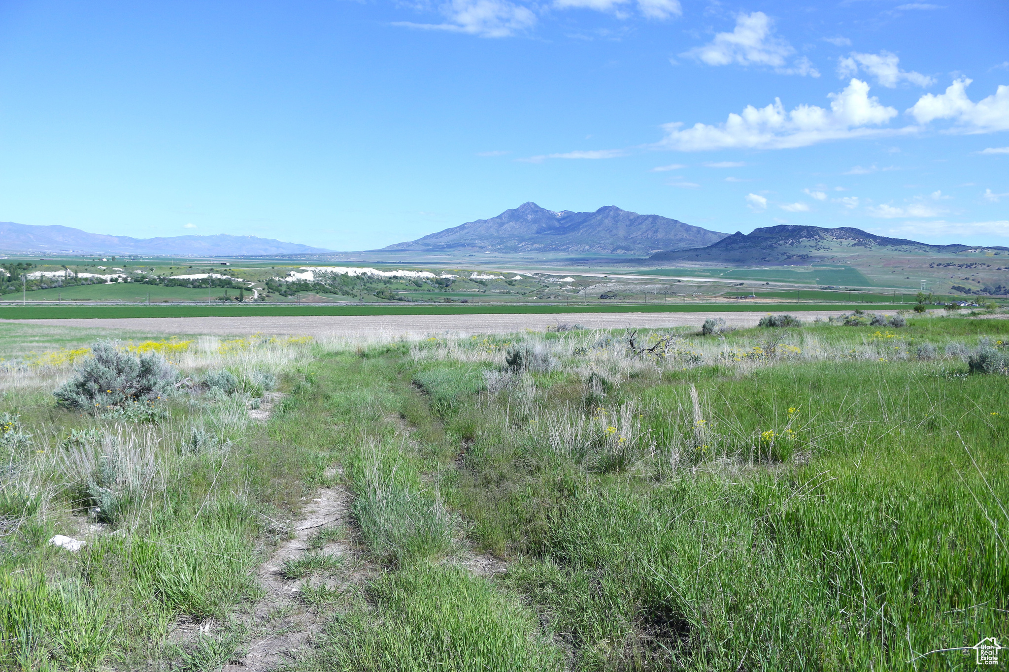 Collinston, Utah 84306, ,Land,For sale,2002455