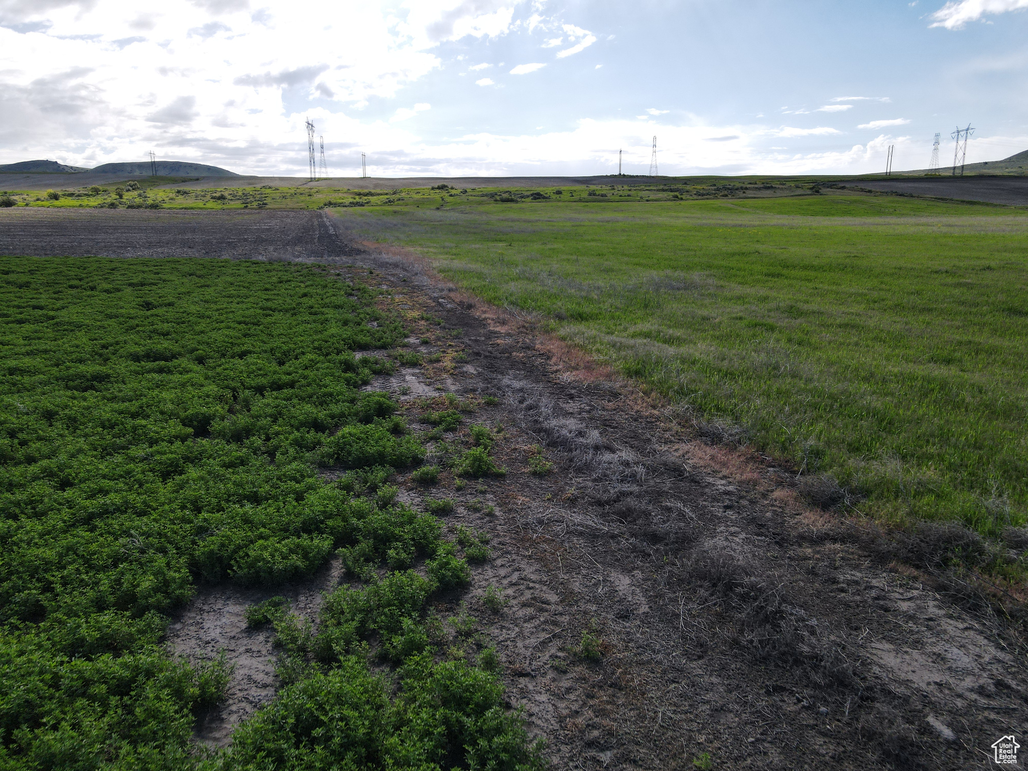 Collinston, Utah 84306, ,Land,For sale,2002455