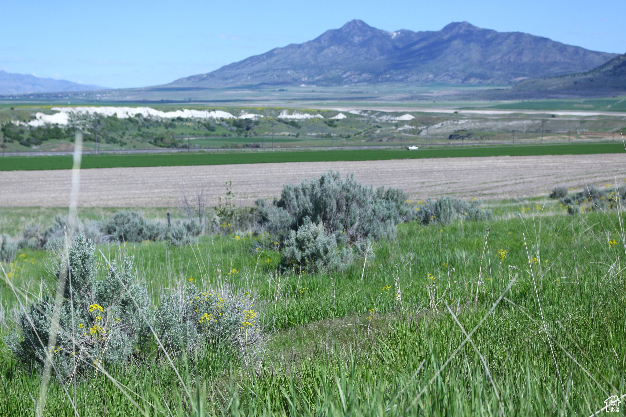 Collinston, Utah 84306, ,Land,For sale,2002455