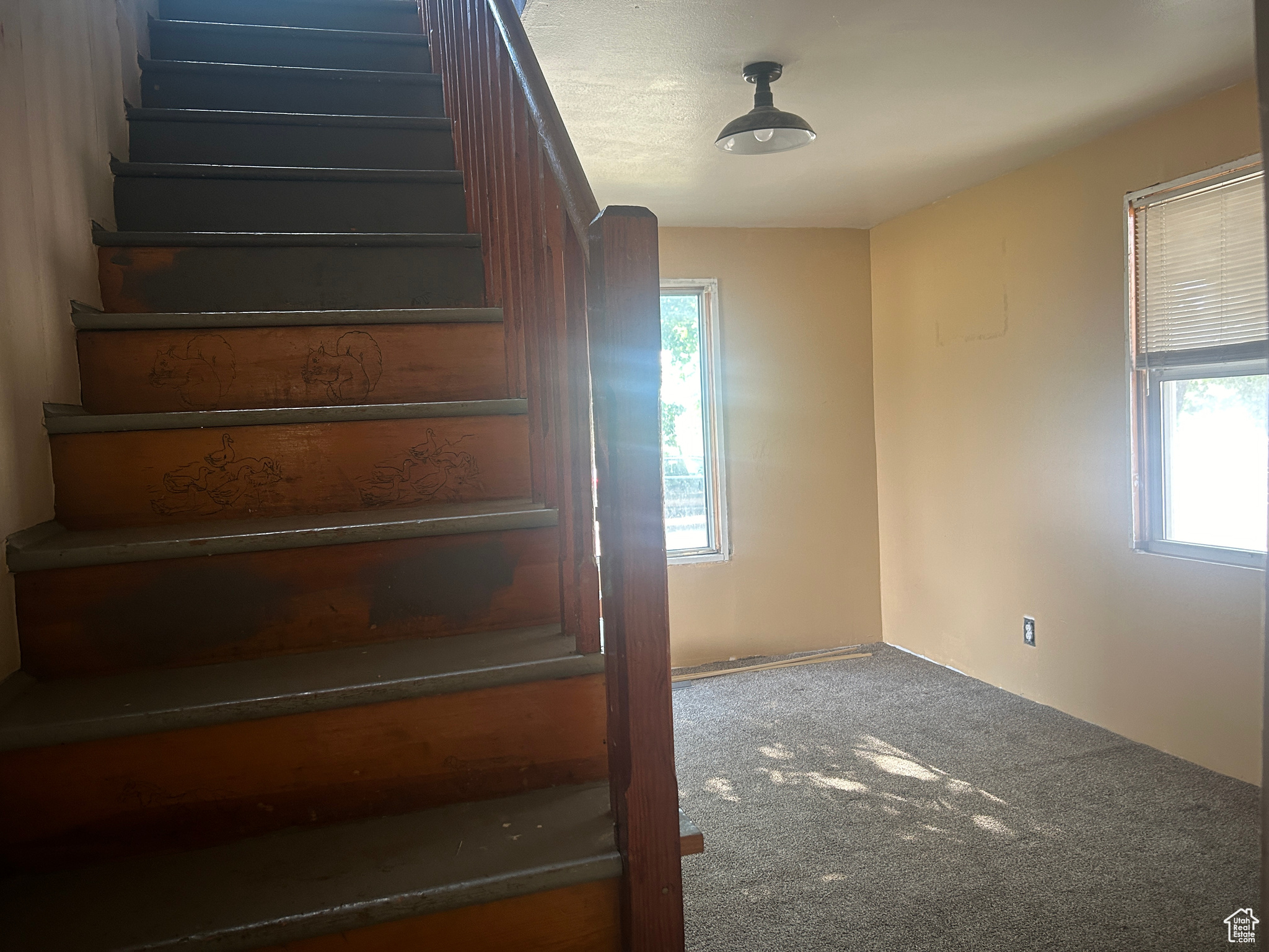 Stairs with carpet