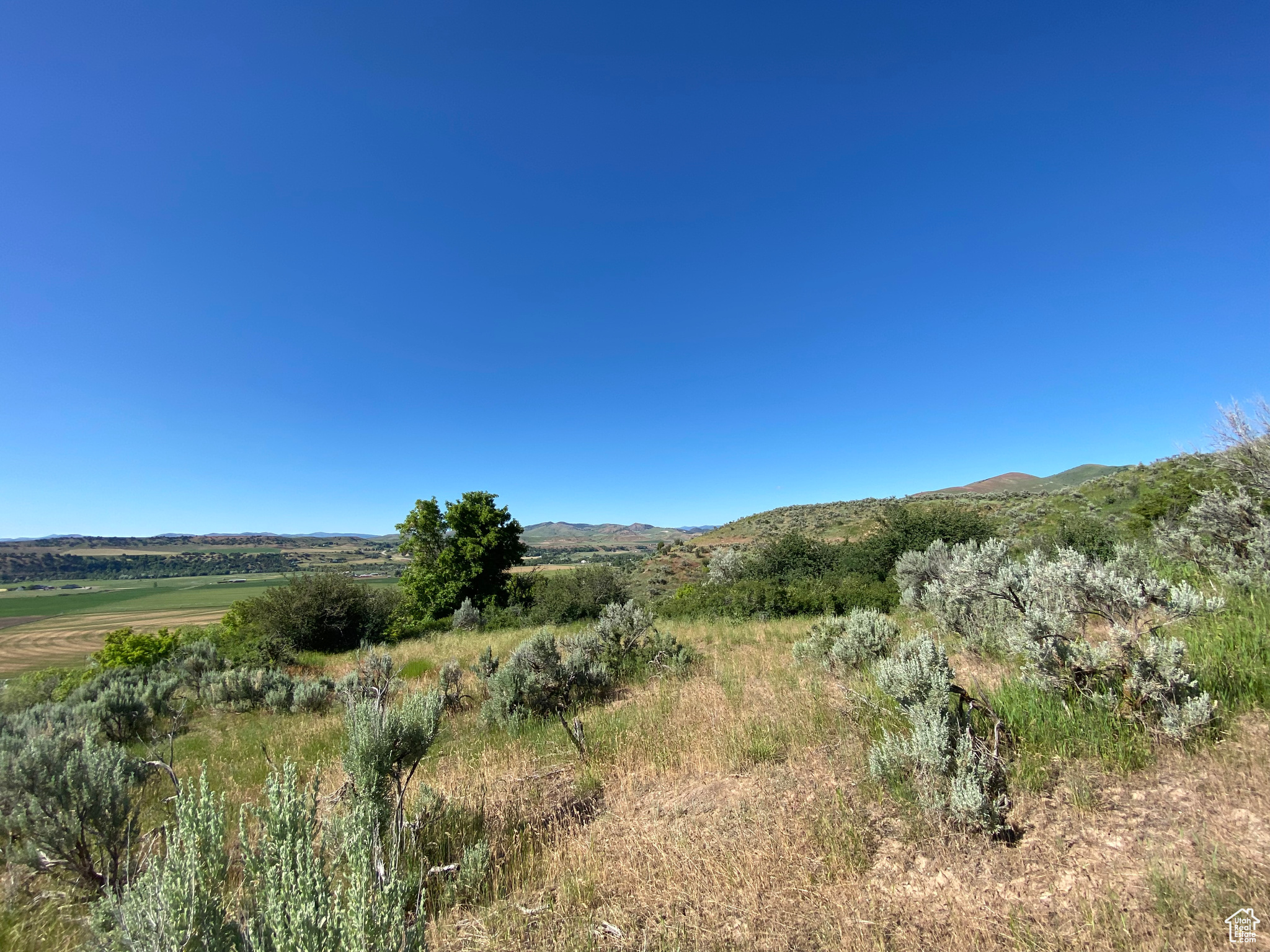 View of local wilderness with a rural view