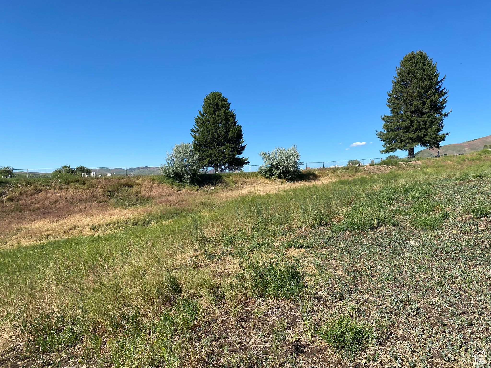 View of local wilderness featuring a rural view