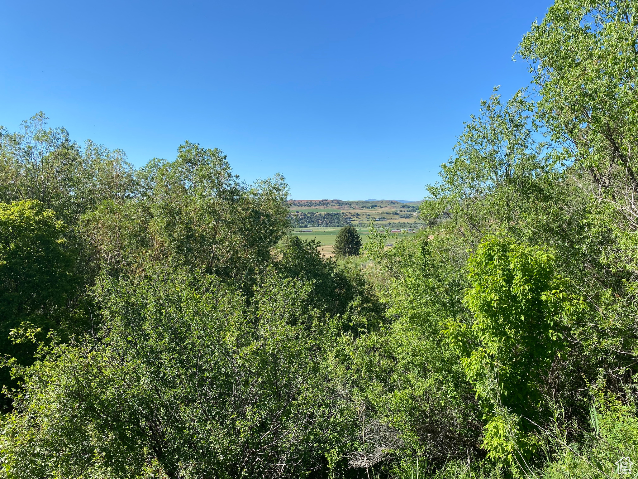 View of mother earth's splendor