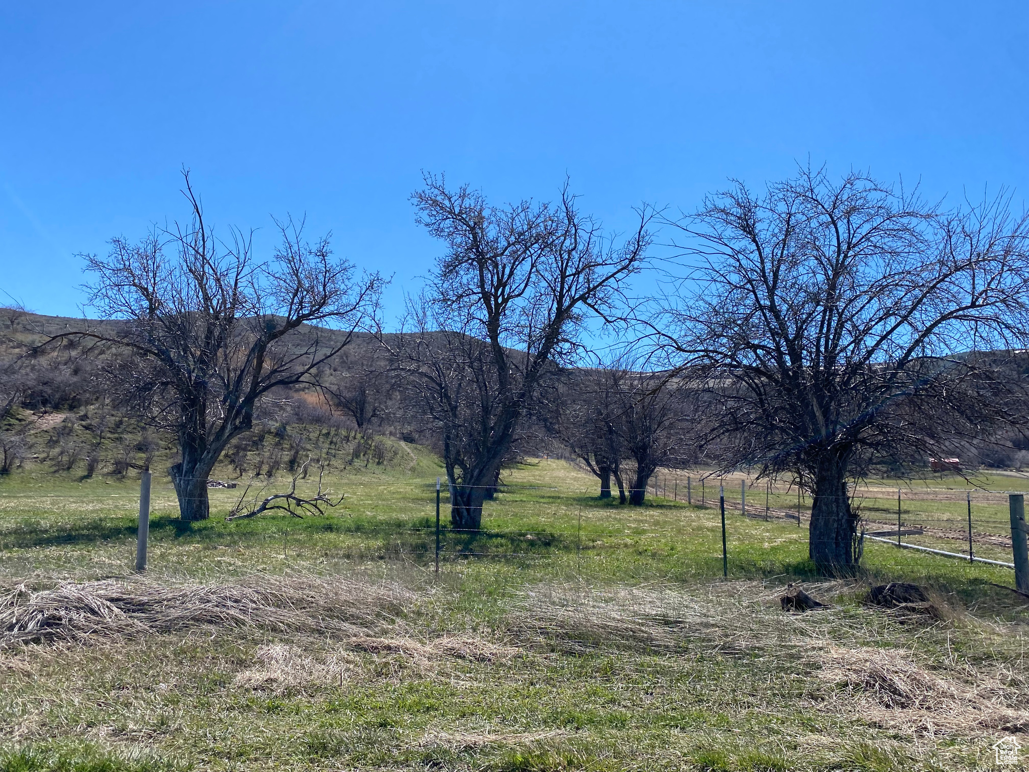 View of yard with a rural view