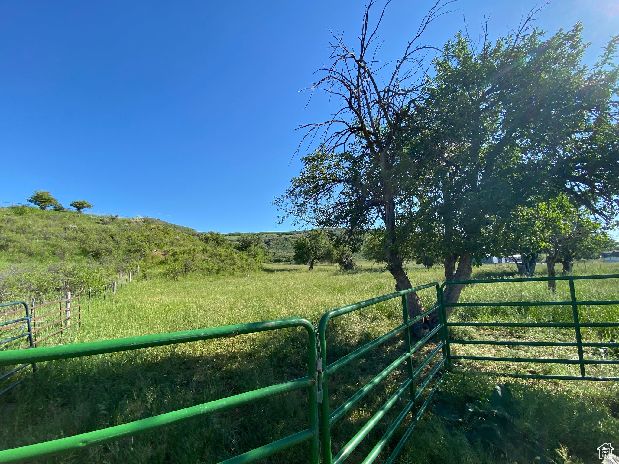 View of yard featuring a rural view