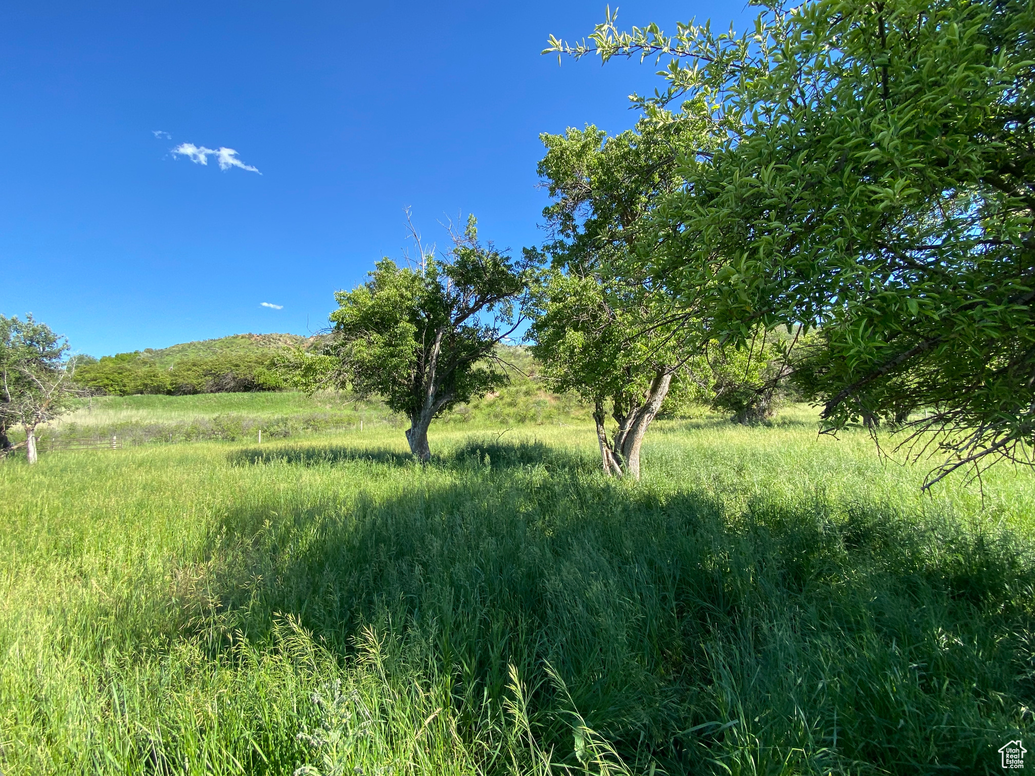 View of nature featuring a rural view