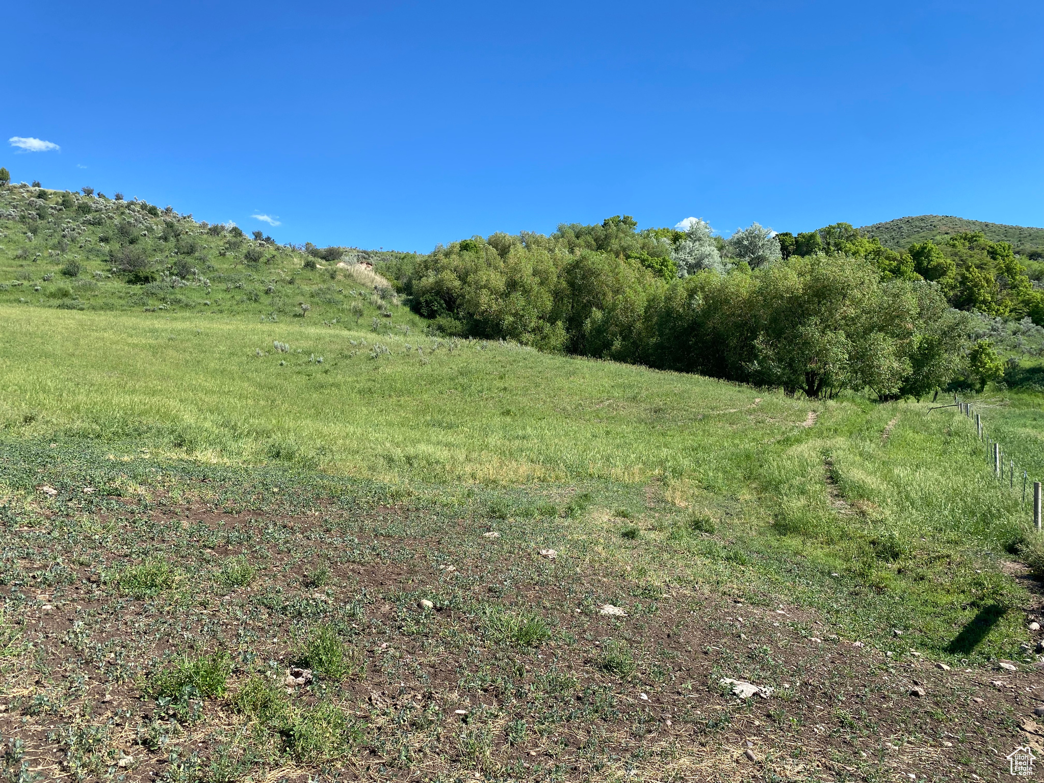 View of local wilderness featuring a rural view