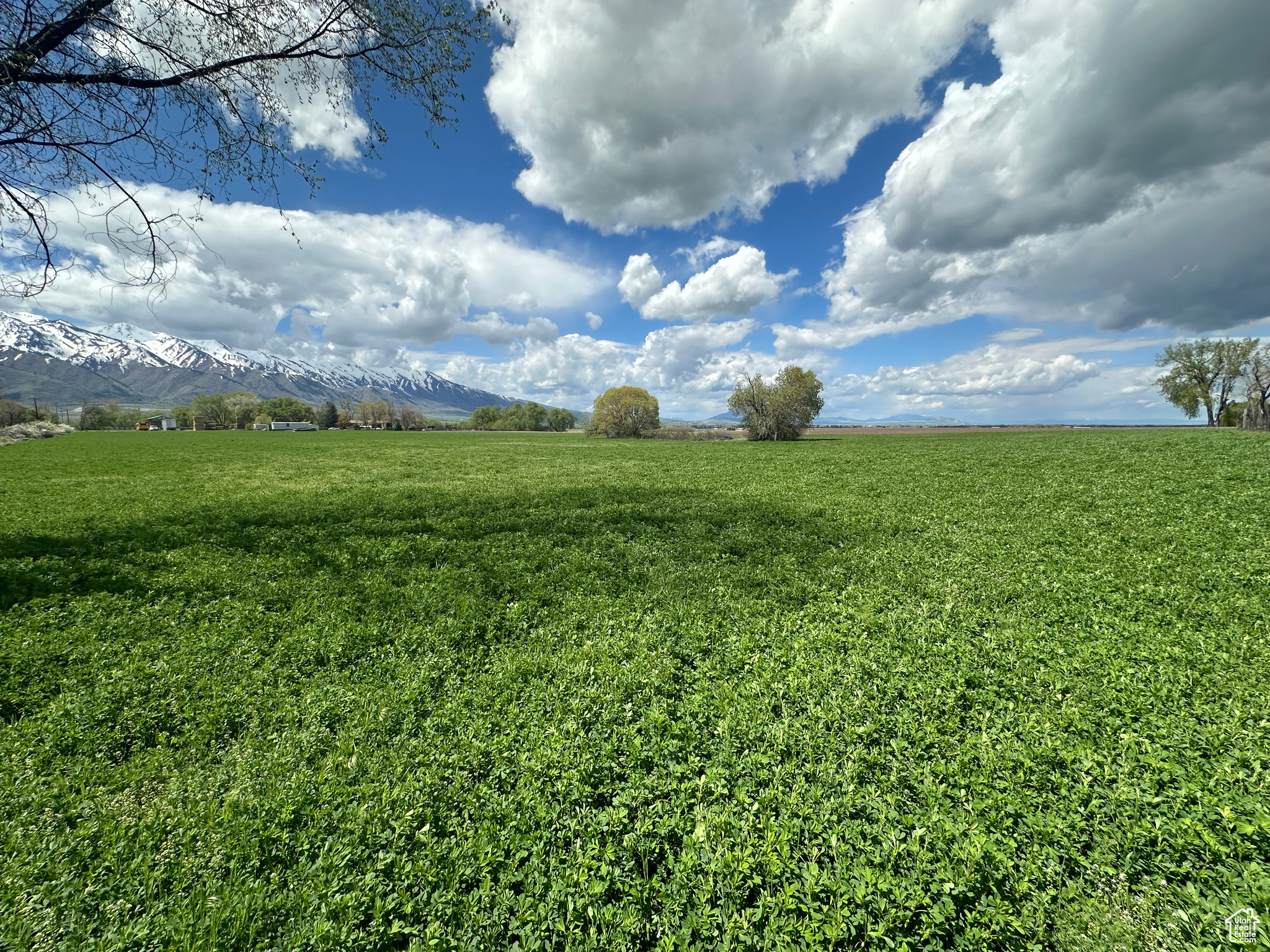 Hyrum, Utah 84319, ,Land,For sale,2002968