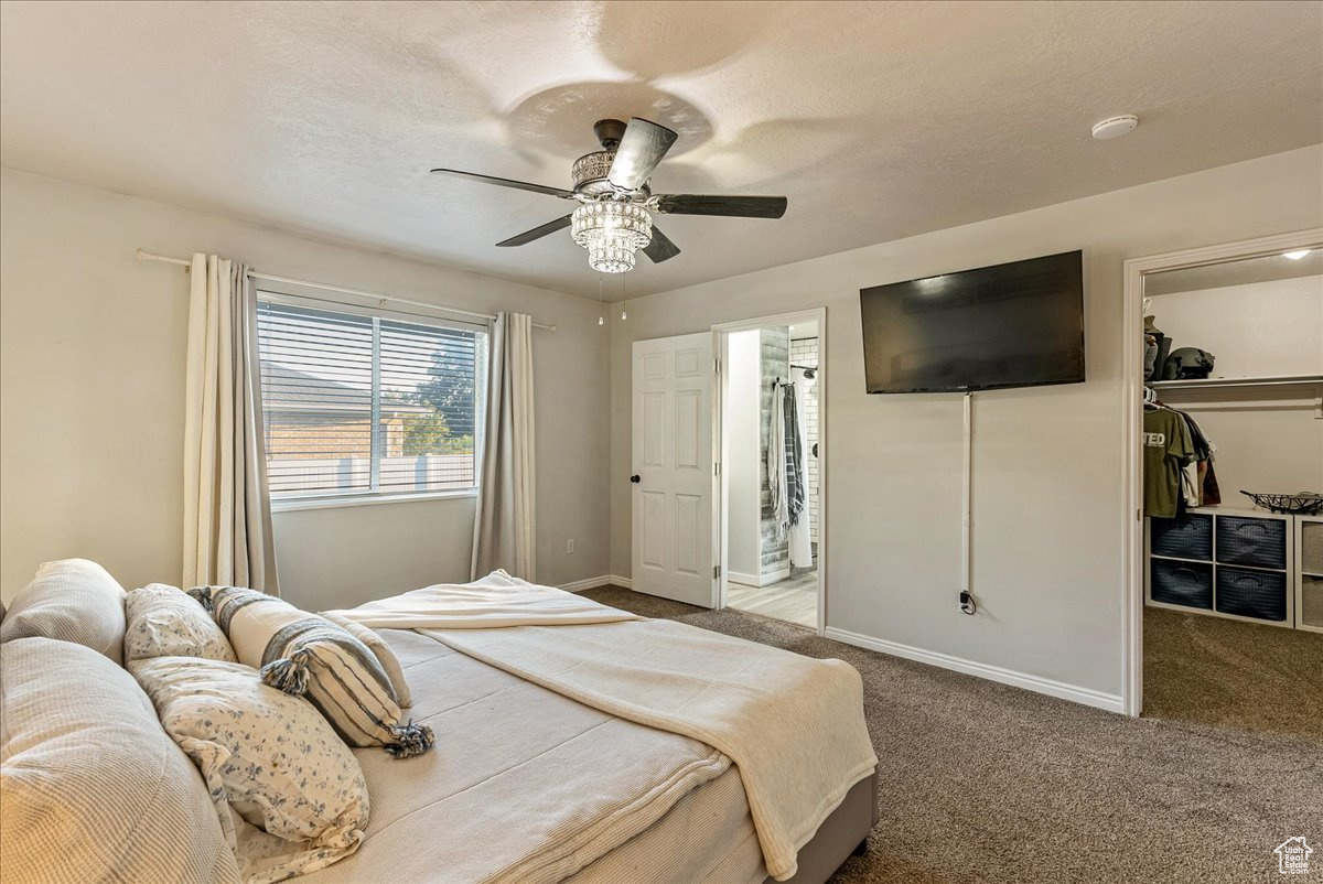 Carpeted bedroom with a spacious walk-in closet and ceiling fan