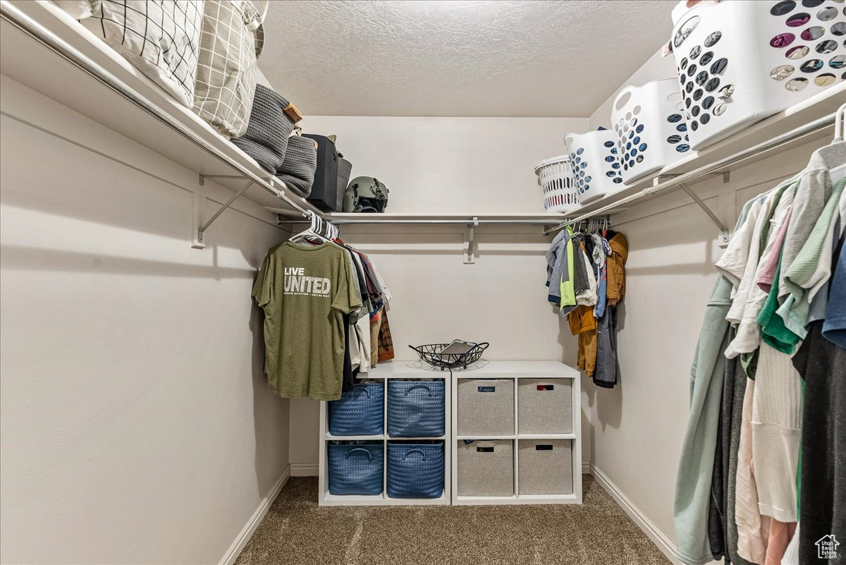 Spacious closet with carpet flooring