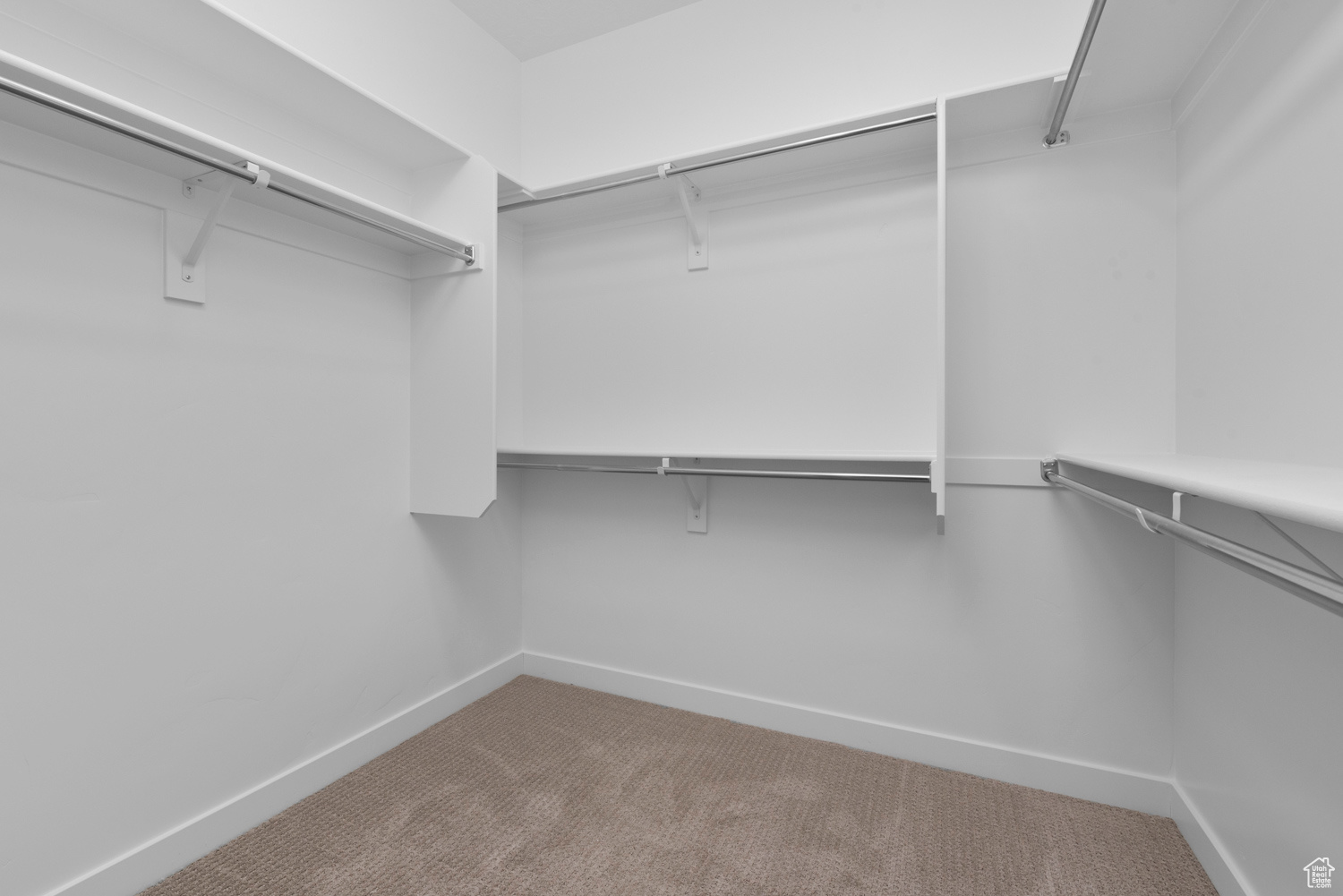 Spacious closet featuring carpet floors