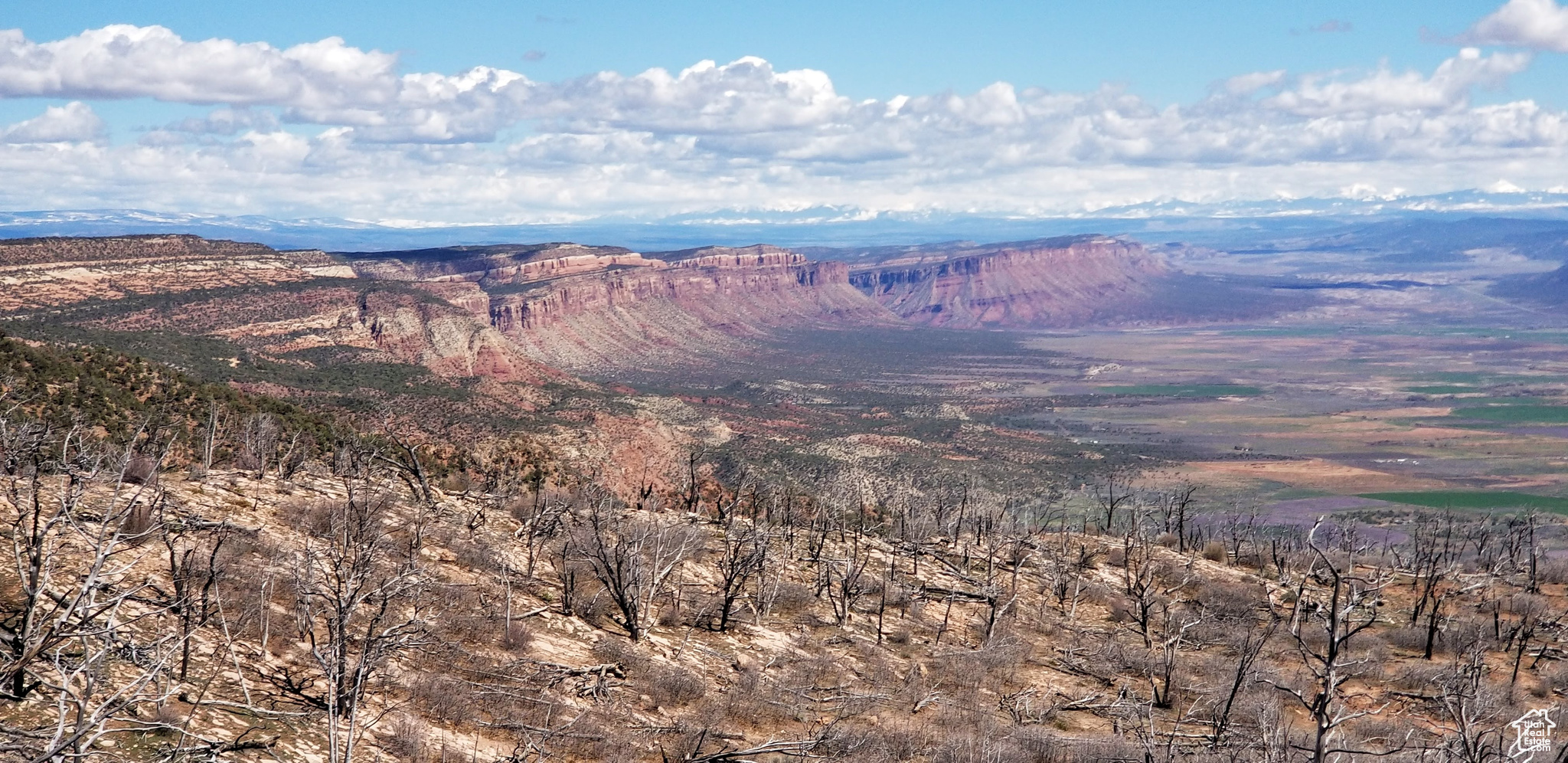 Top of the trail from the home