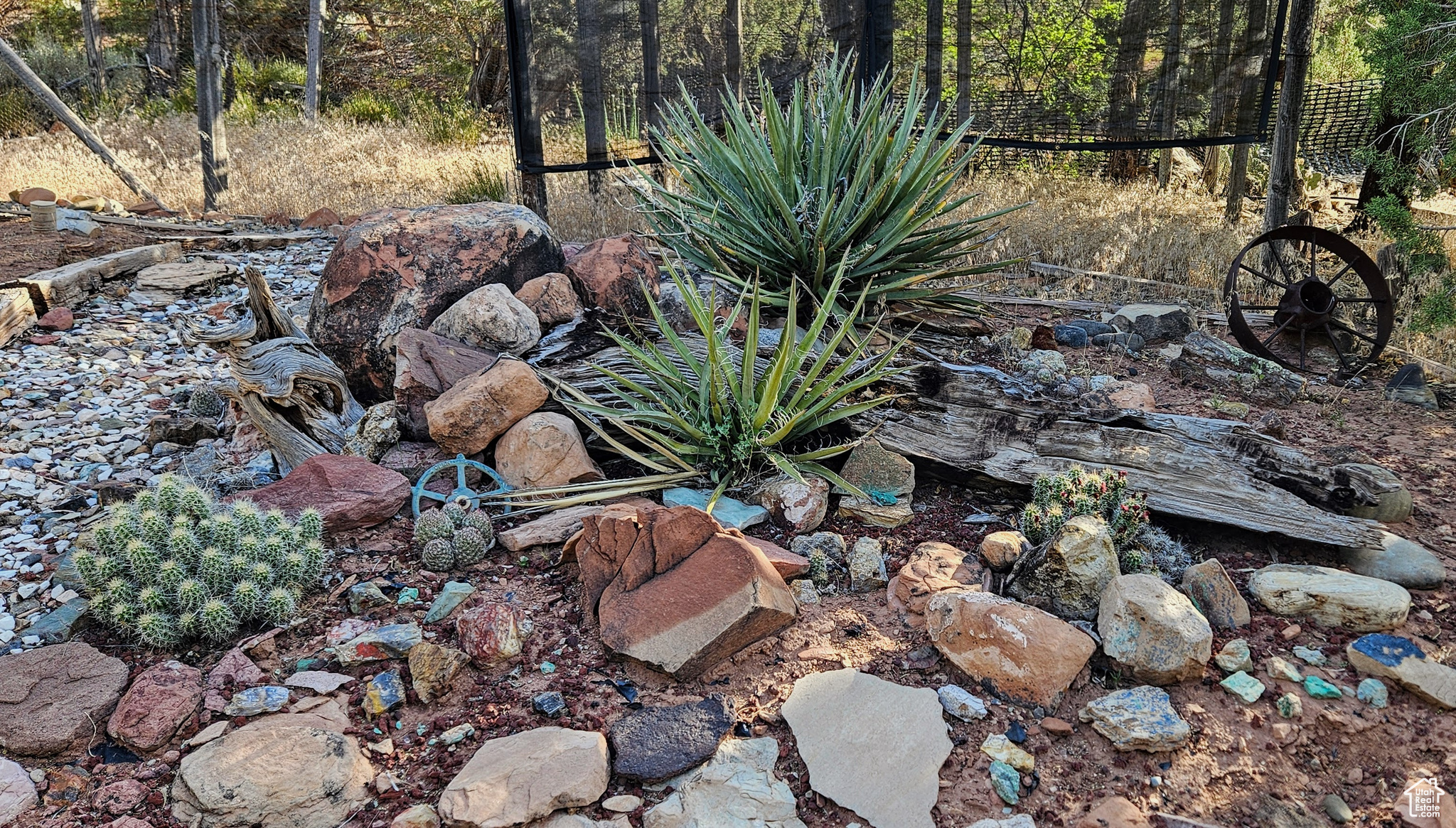 View of local wilderness