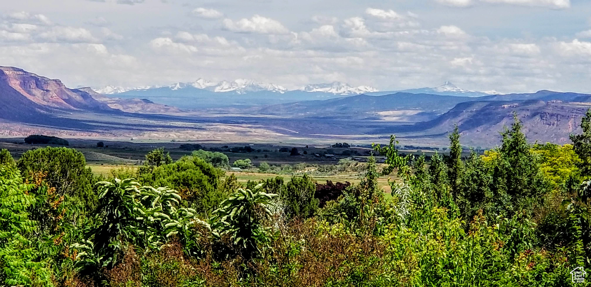 View from the front porch