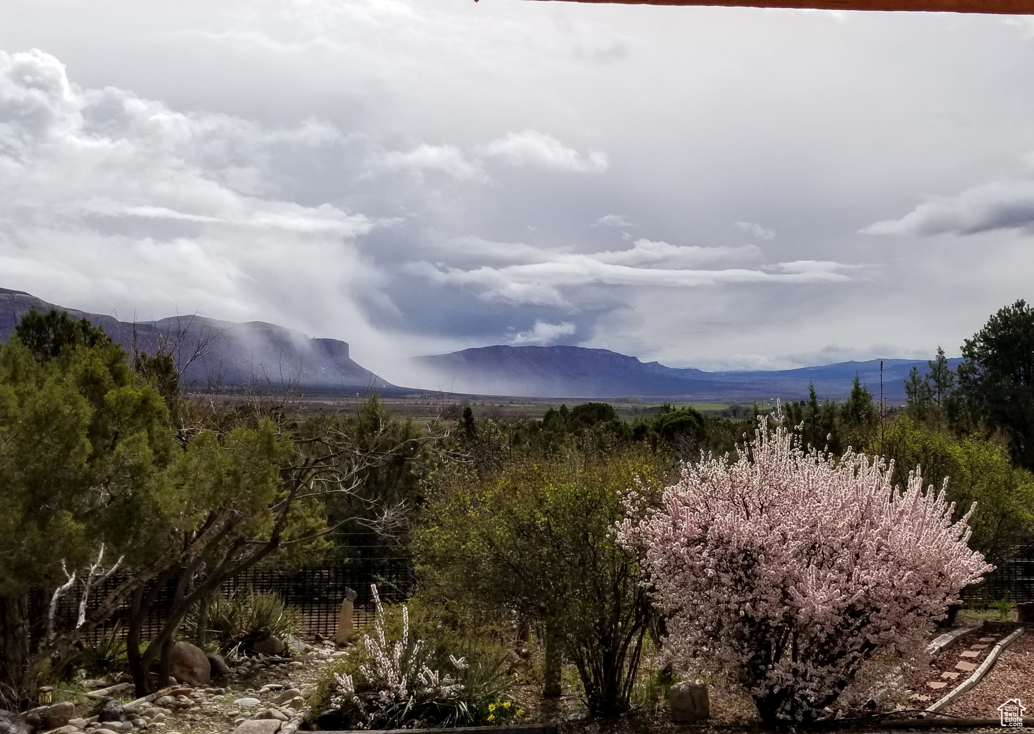 View from the front porch