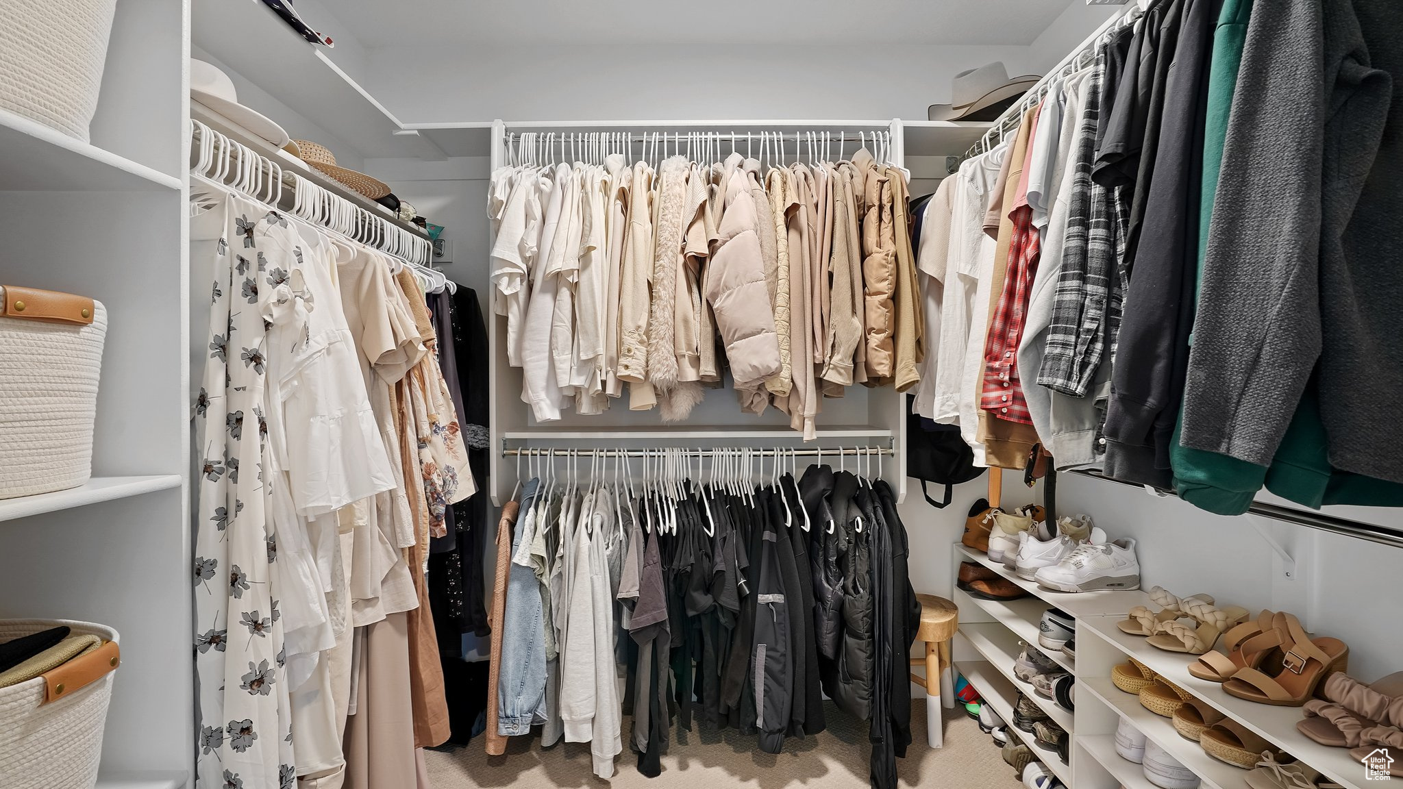 Walk in closet featuring carpet