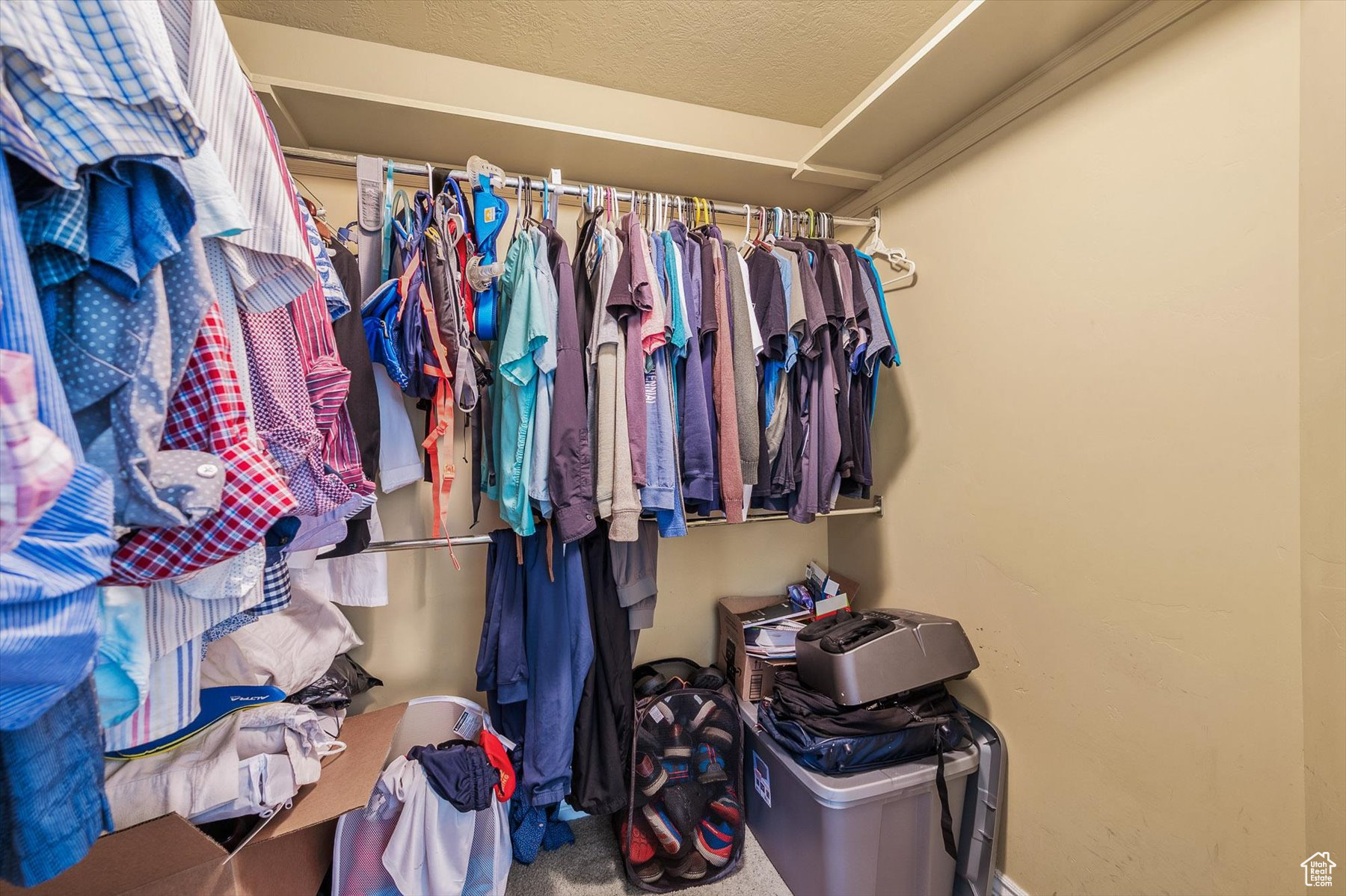 Walk in closet with carpet flooring