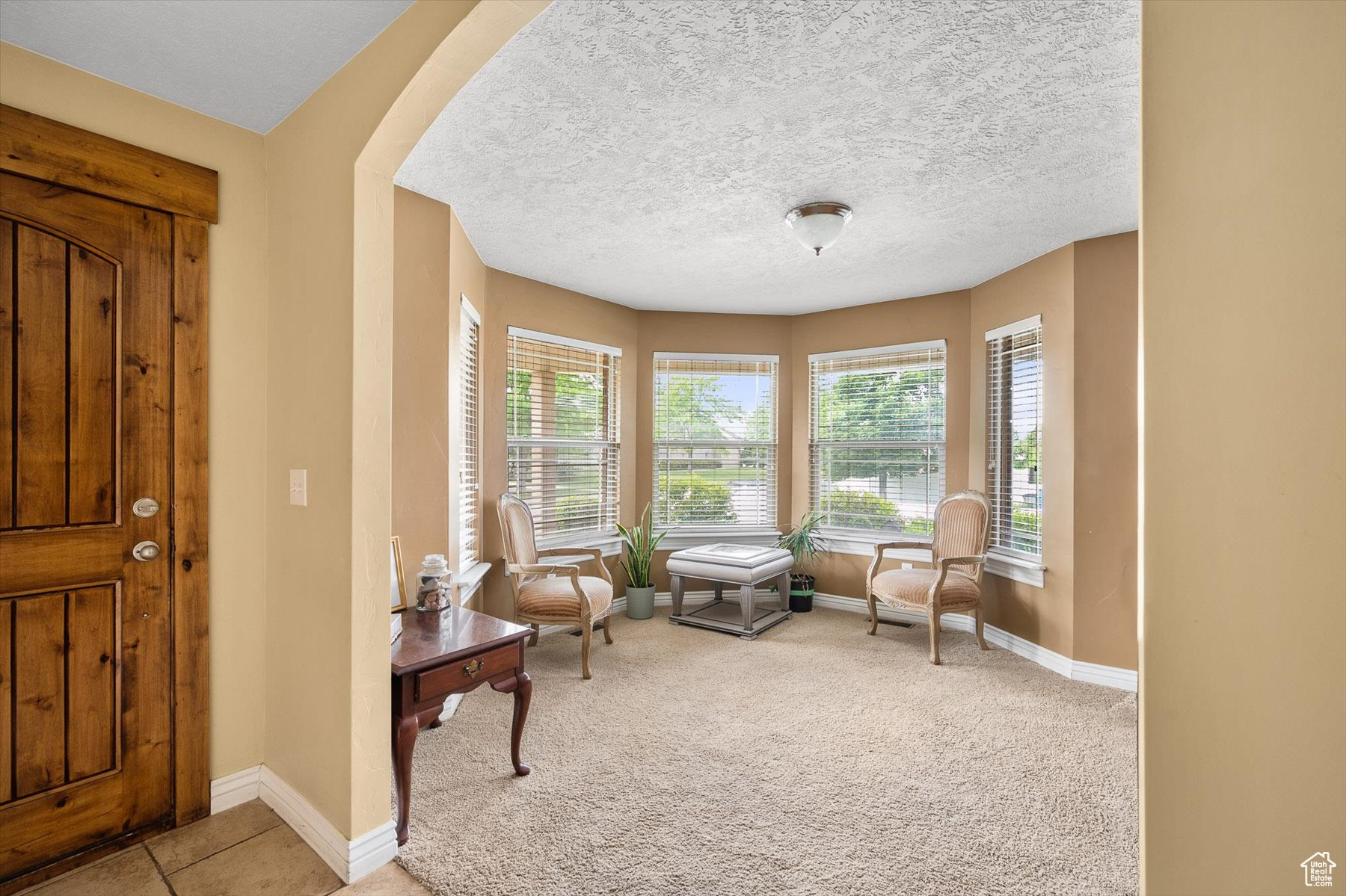 Living area featuring a textured ceiling and carpet flooring