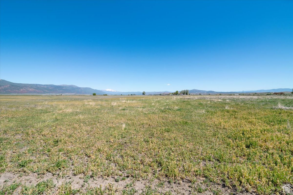 14373 N 2802 E, Chester, Utah 84623, ,Farm,For sale,2802,2003589