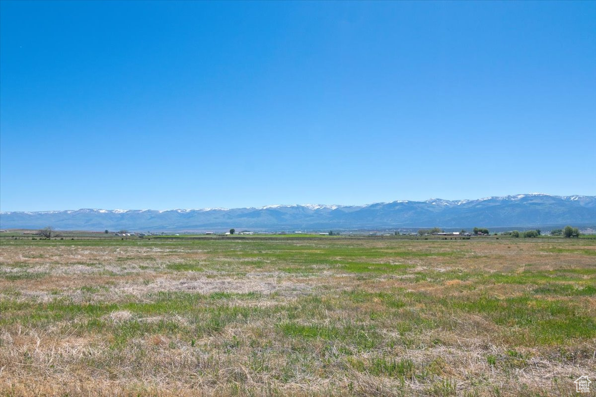 14373 N 2802 E, Chester, Utah 84623, ,Farm,For sale,2802,2003589