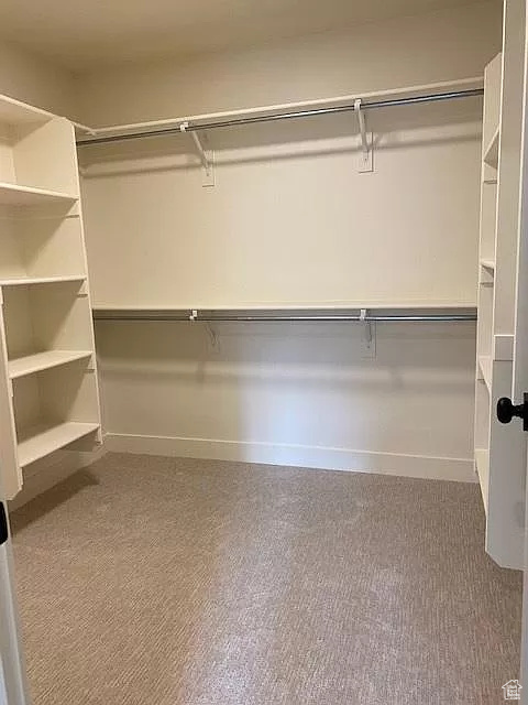 Walk in closet with carpet floors