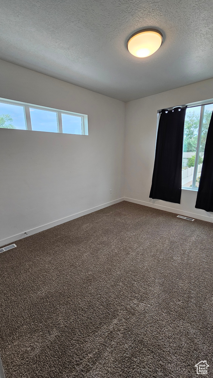 Unfurnished room featuring carpet flooring and a textured ceiling