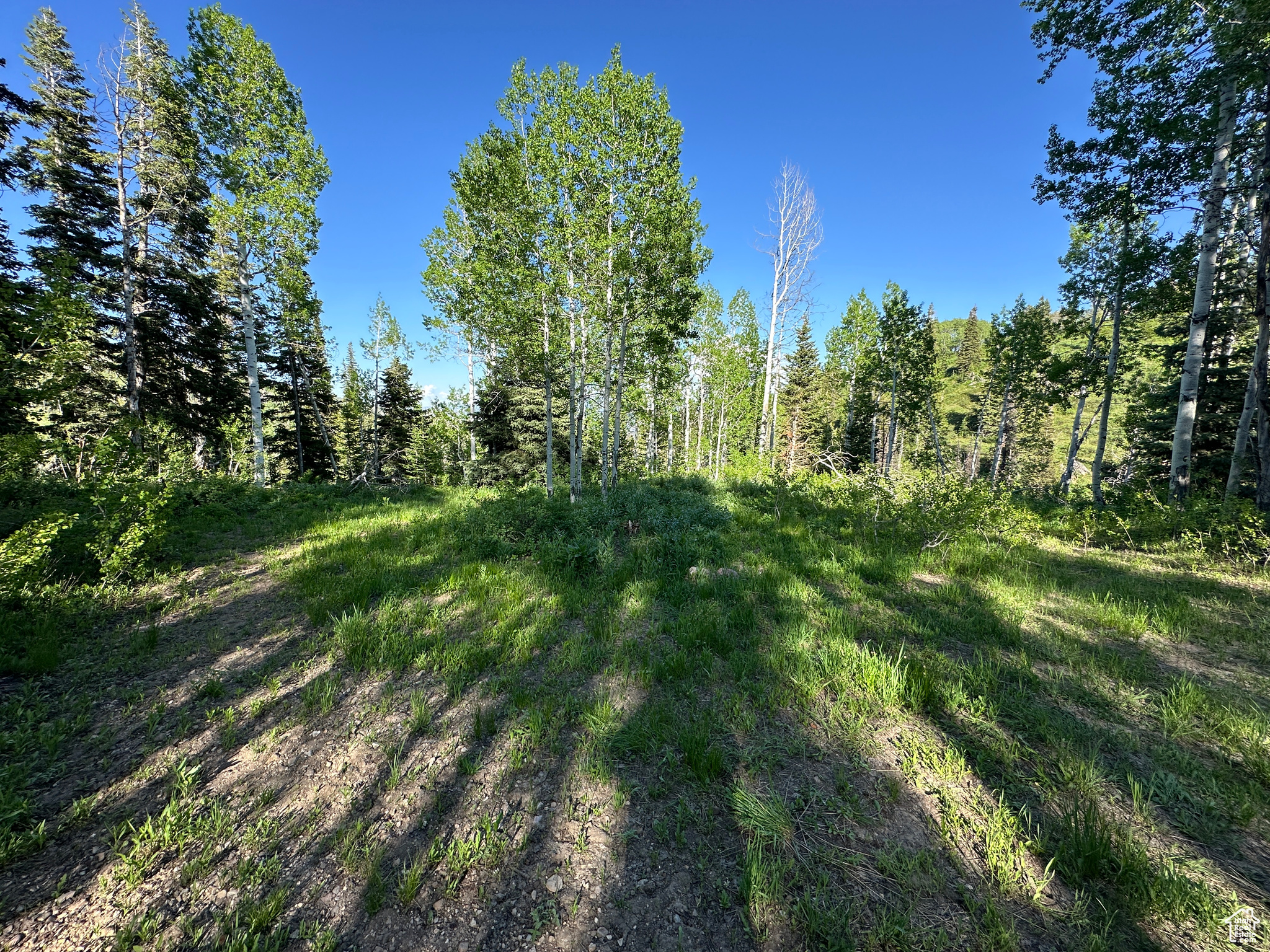 1495 W PINE RIDGE #8/9, Wanship, Utah 84017, ,Land,For sale,PINE RIDGE,2003736