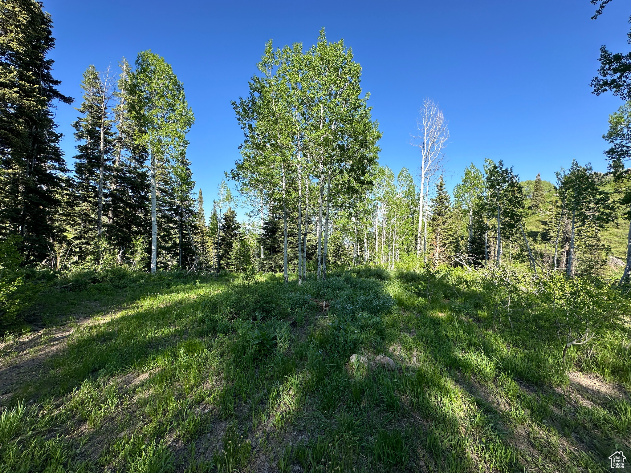 1495 W PINE RIDGE #8/9, Wanship, Utah 84017, ,Land,For sale,PINE RIDGE,2003736