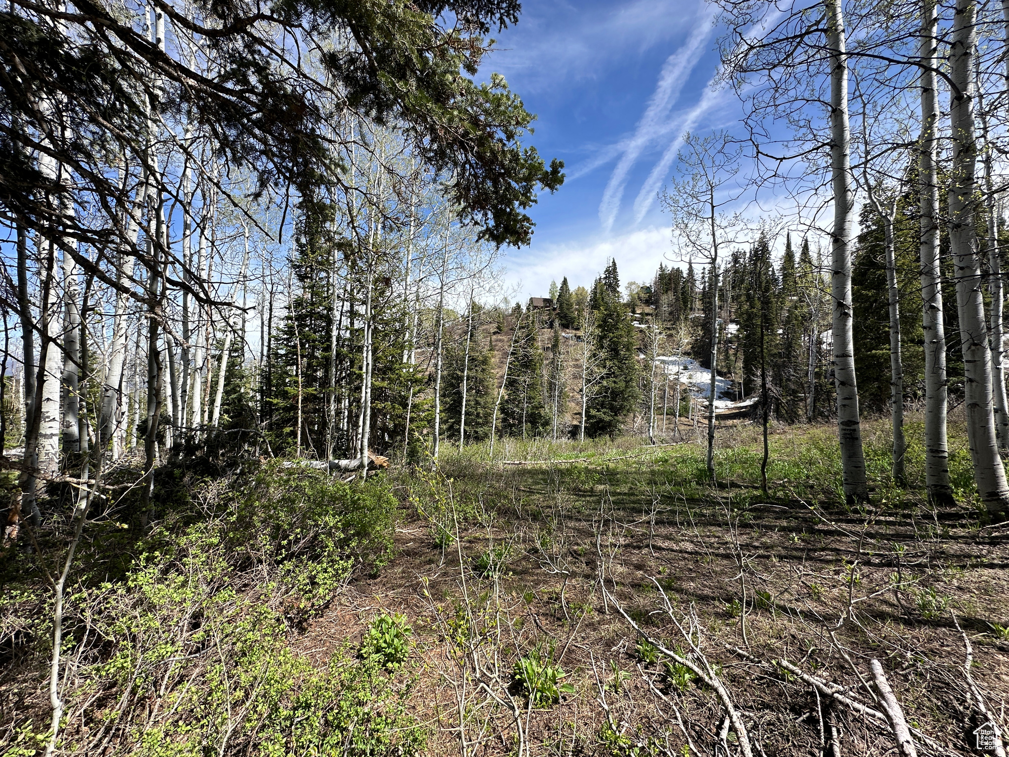 1495 W PINE RIDGE #8/9, Wanship, Utah 84017, ,Land,For sale,PINE RIDGE,2003736