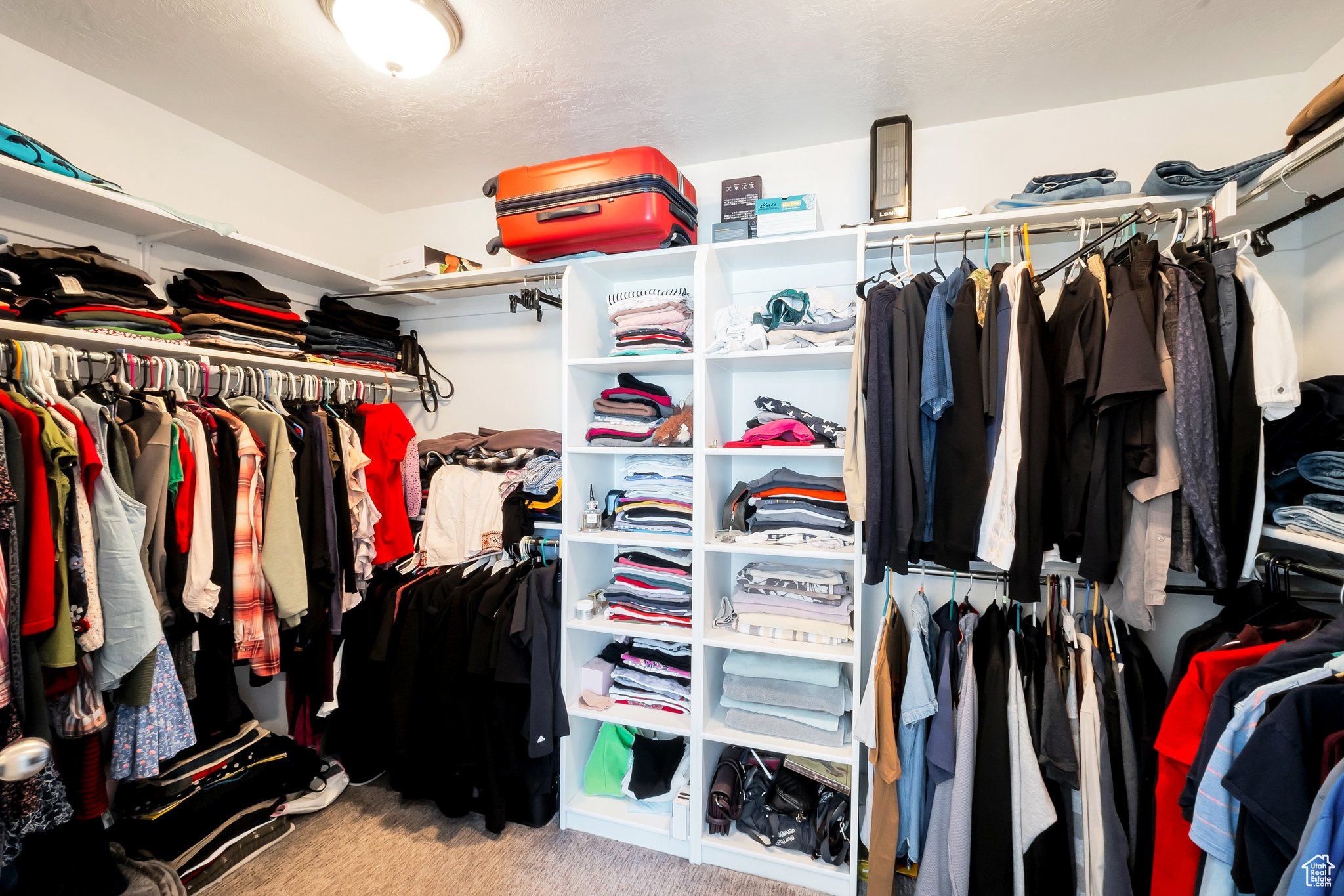 Walk in closet featuring carpet flooring