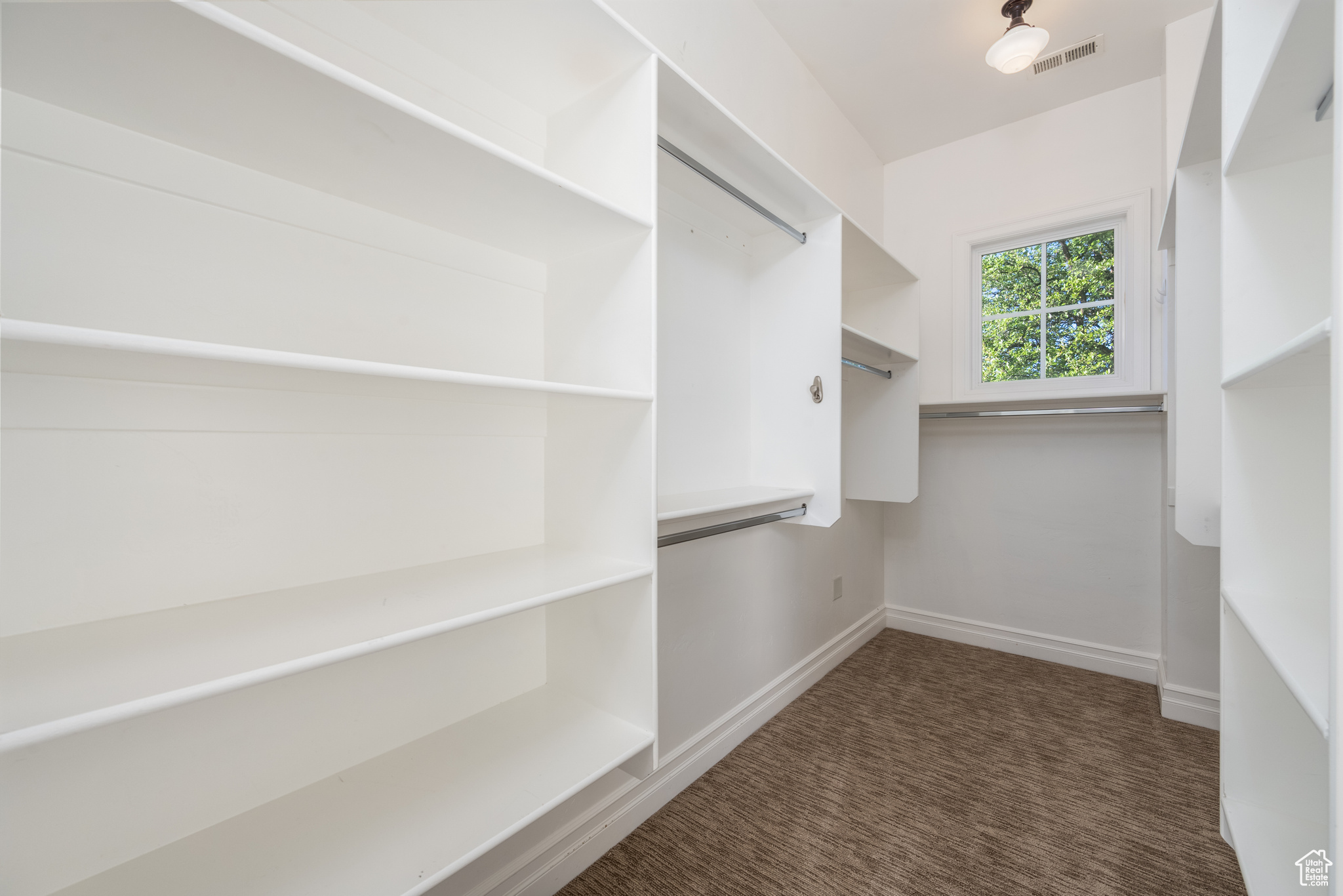 Spacious closet featuring dark colored carpet